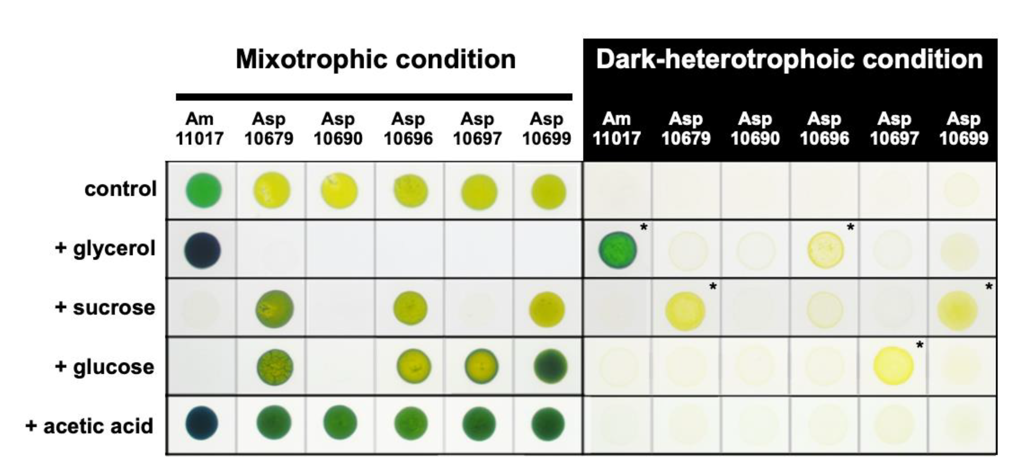 Plants 11 00915 g002 Plants 11 00915 g002