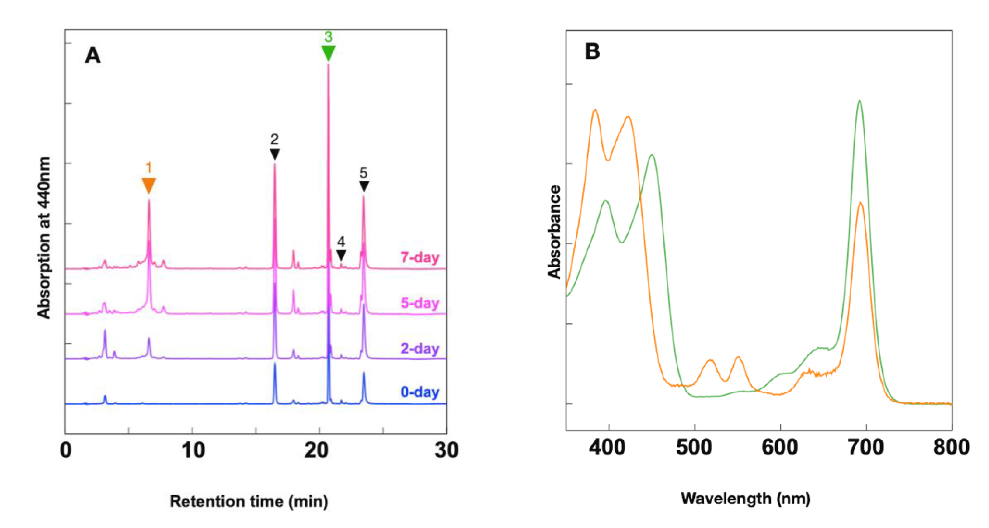 Plants 11 00915 g005 Plants 11 00915 g005