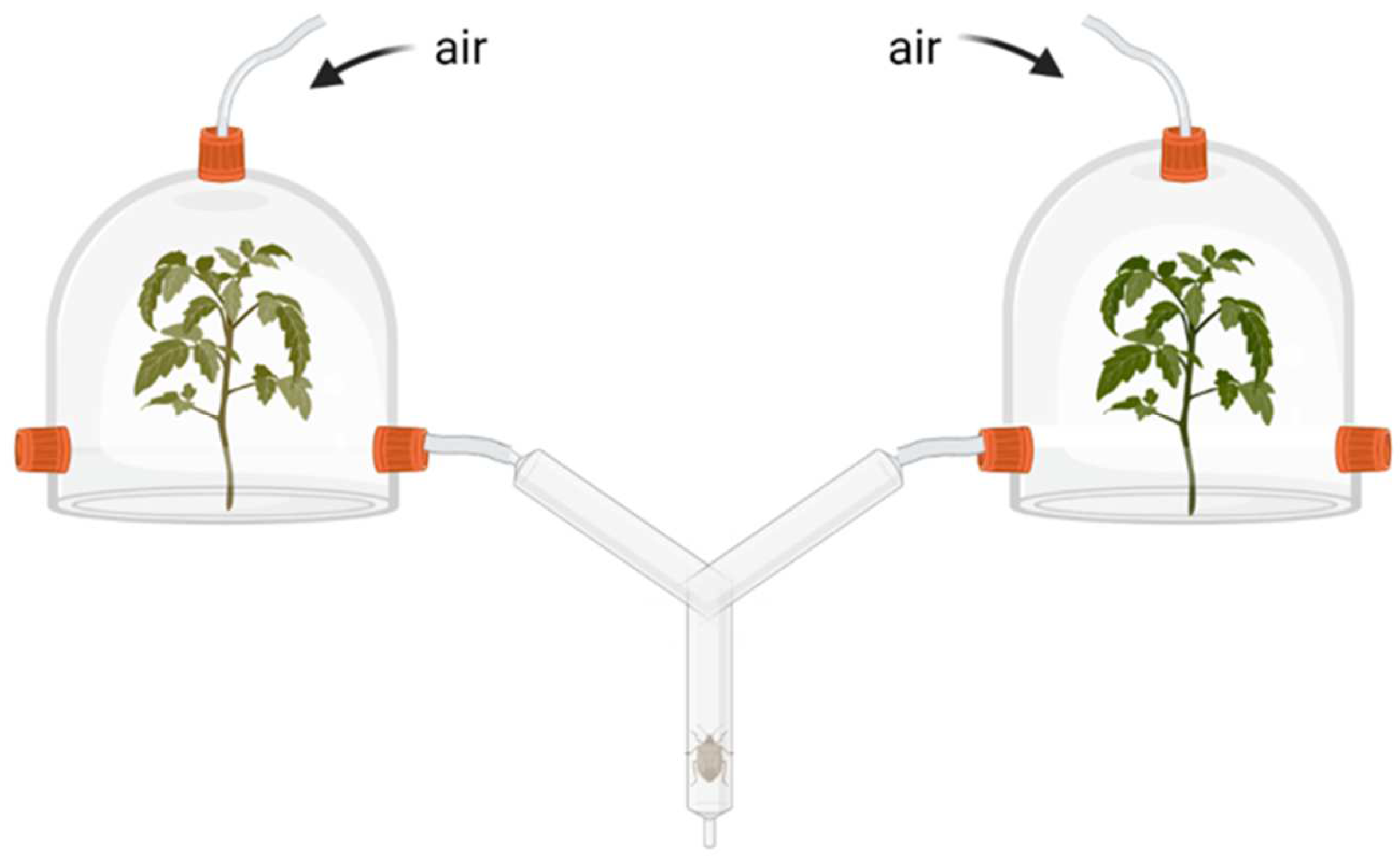 Plants 11 00920 g004 550