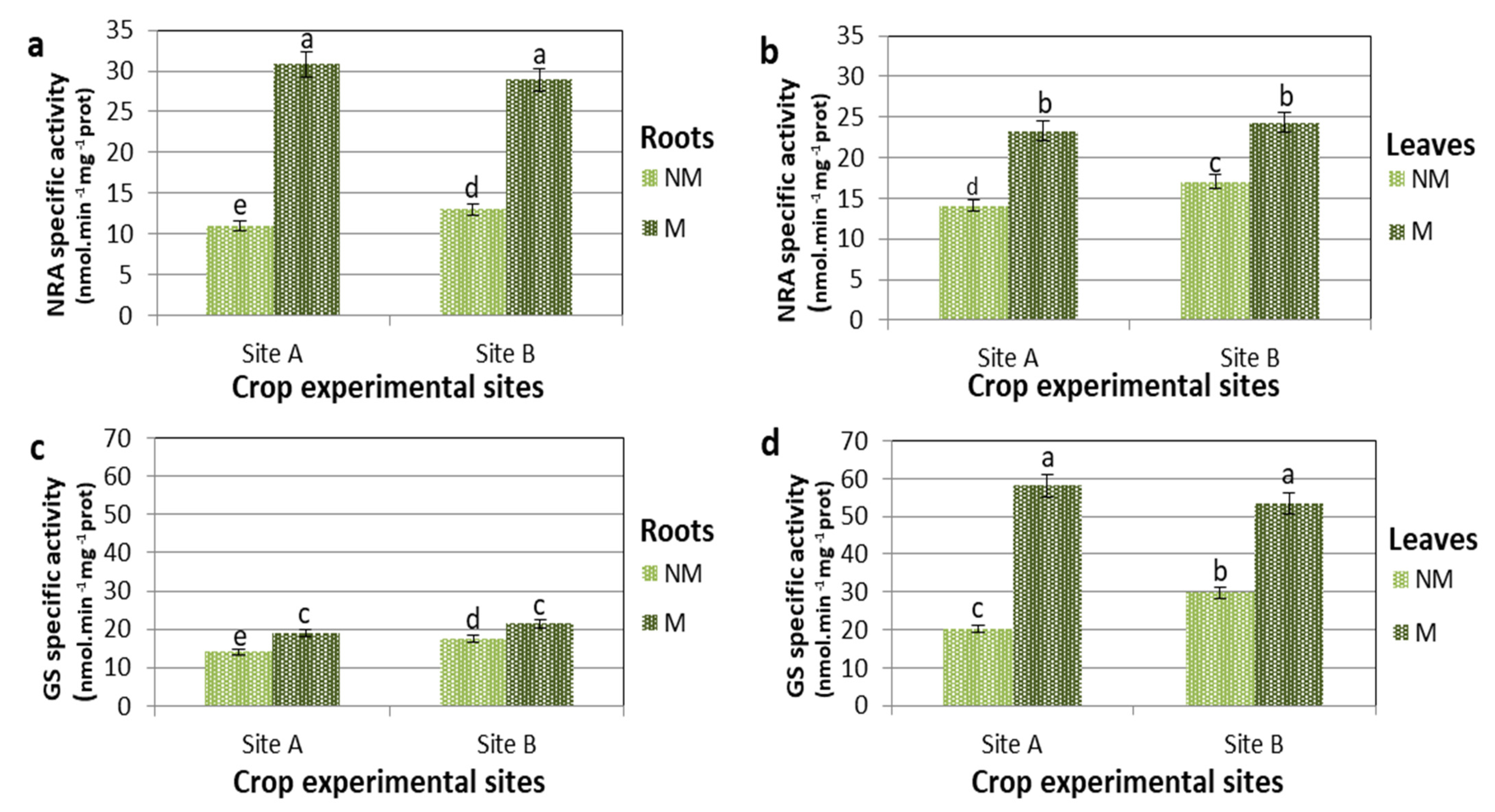 Plants 11 00924 g002 Plants 11 00924 g002