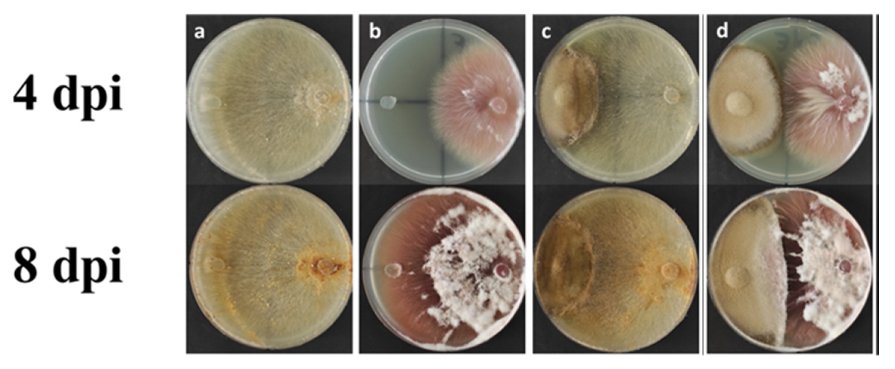 Plants 11 00924 g007 Plants 11 00924 g007