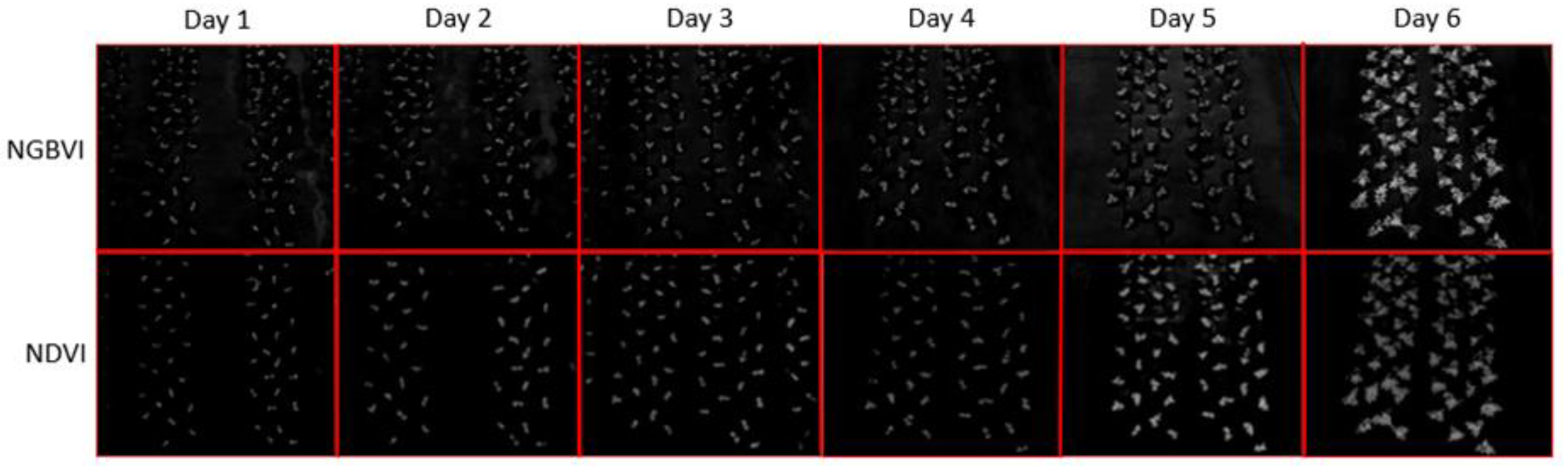 Plants 11 00932 g001