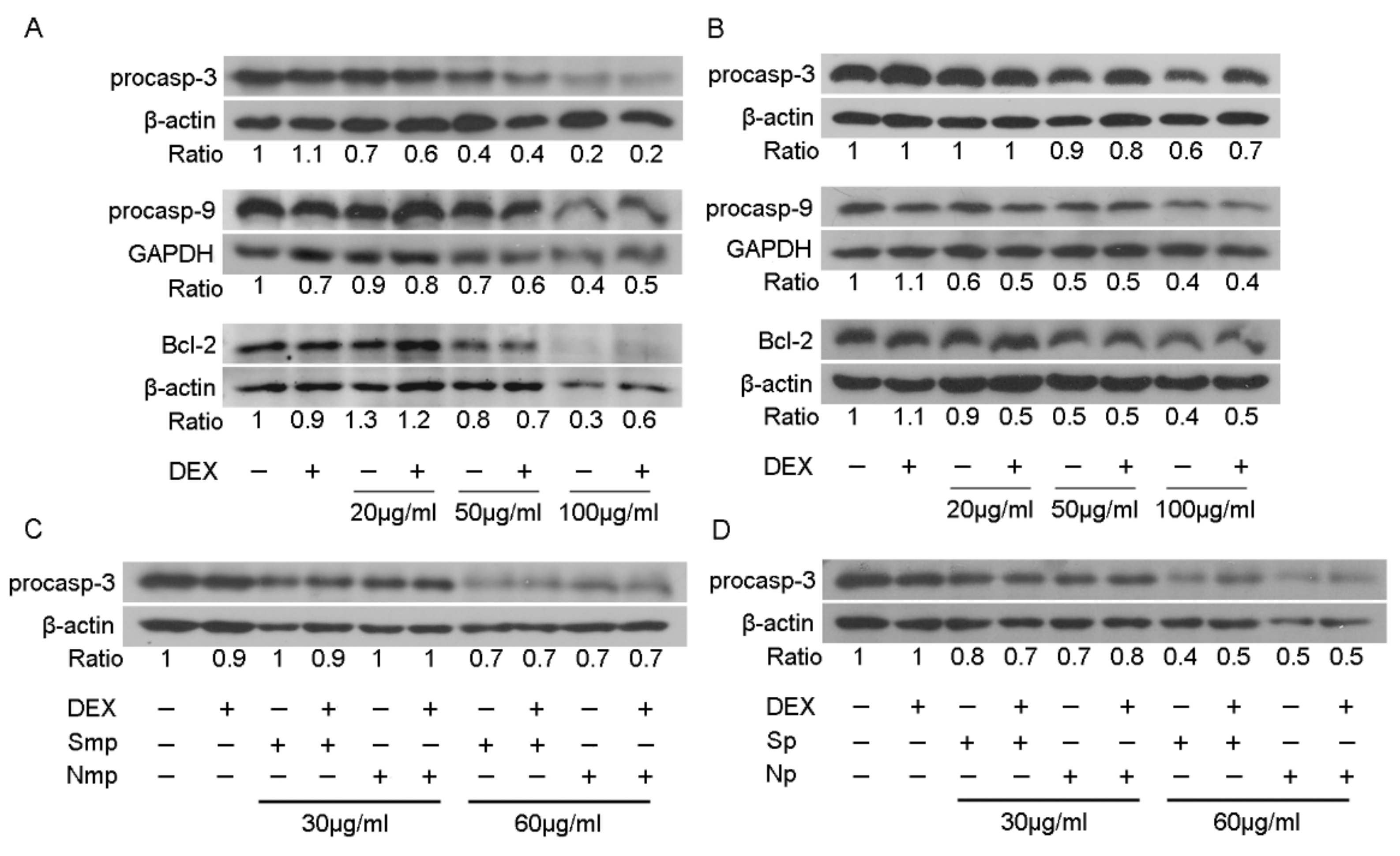 Plants 11 00934 g008