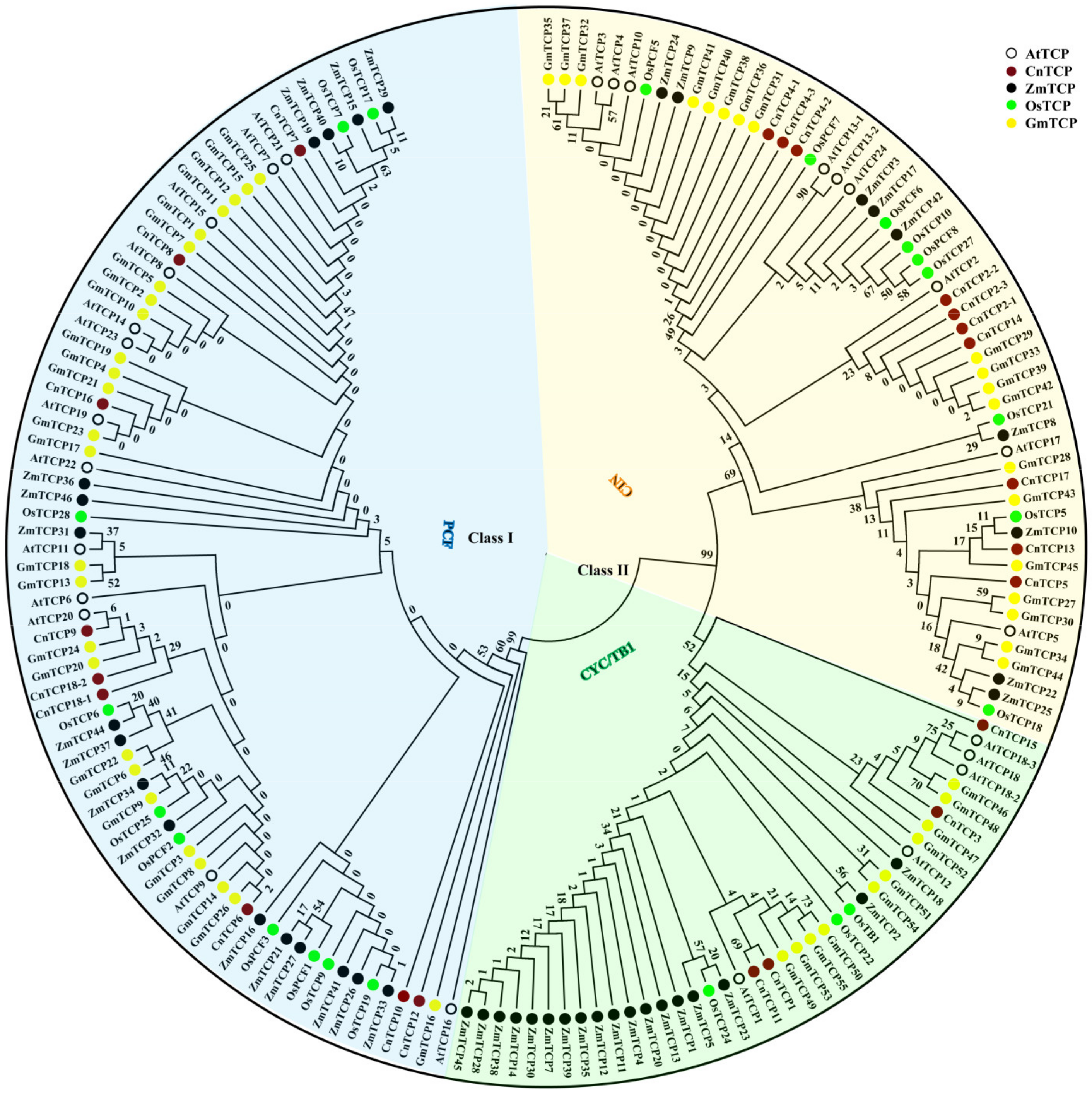 Plants 11 00936 g001