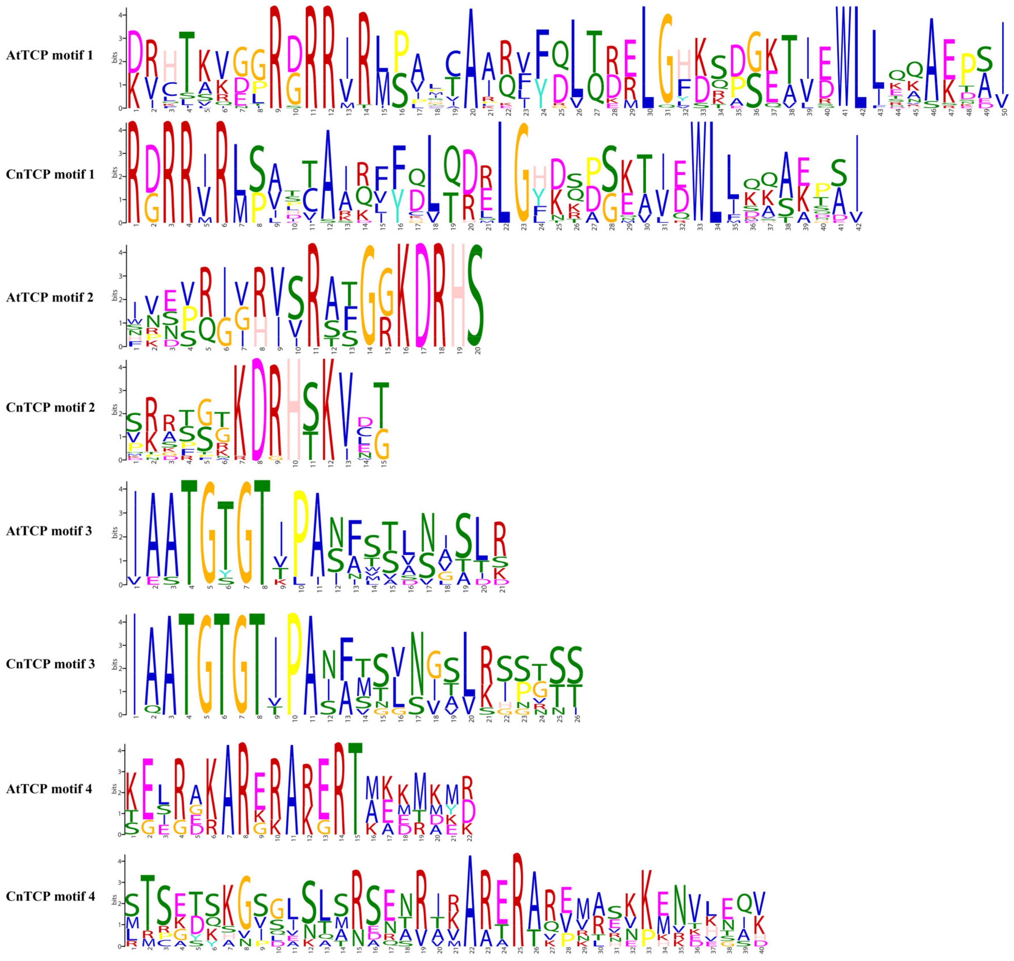 Plants 11 00936 g004