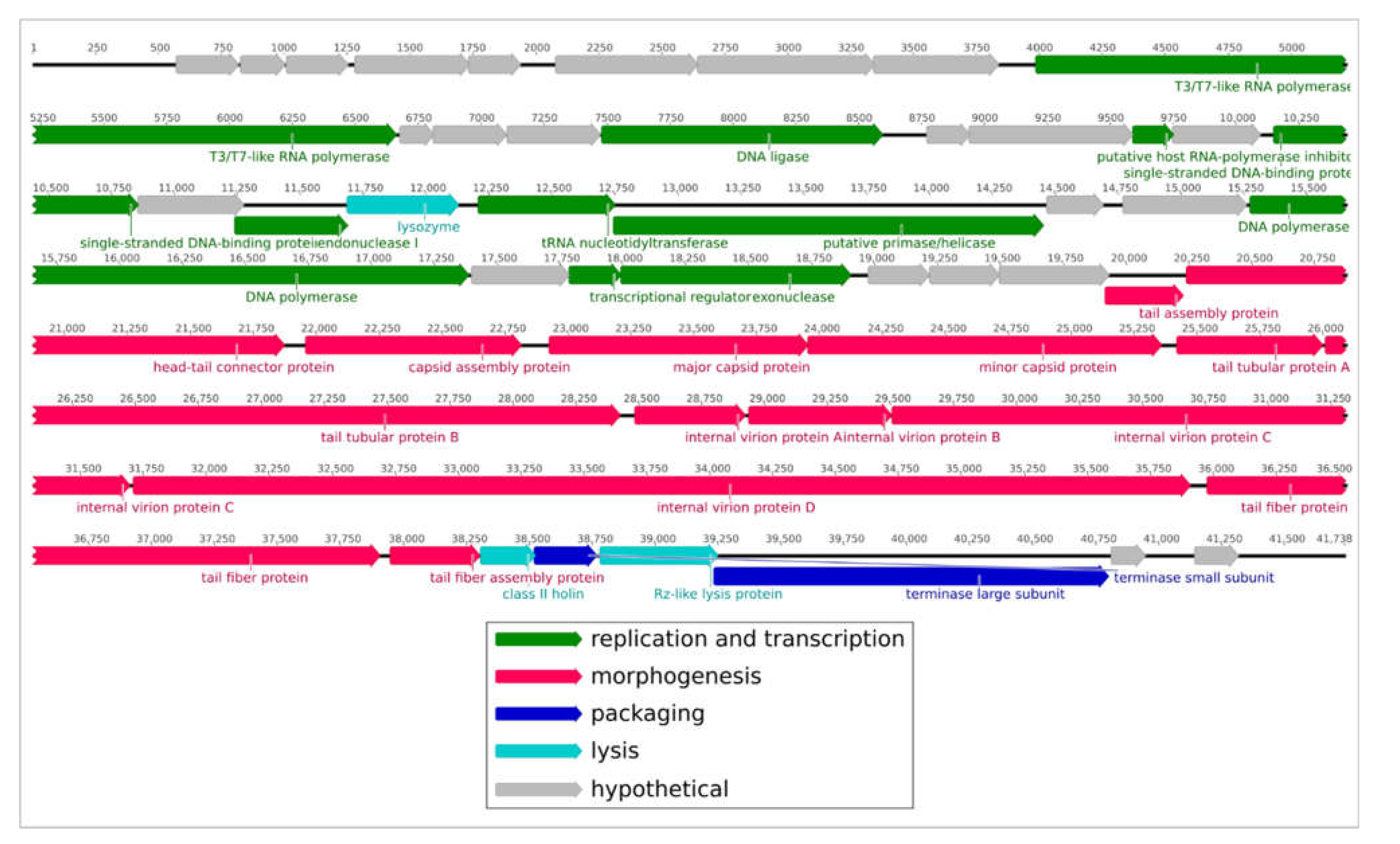 Plants 11 00938 g005 Plants 11 00938 g005