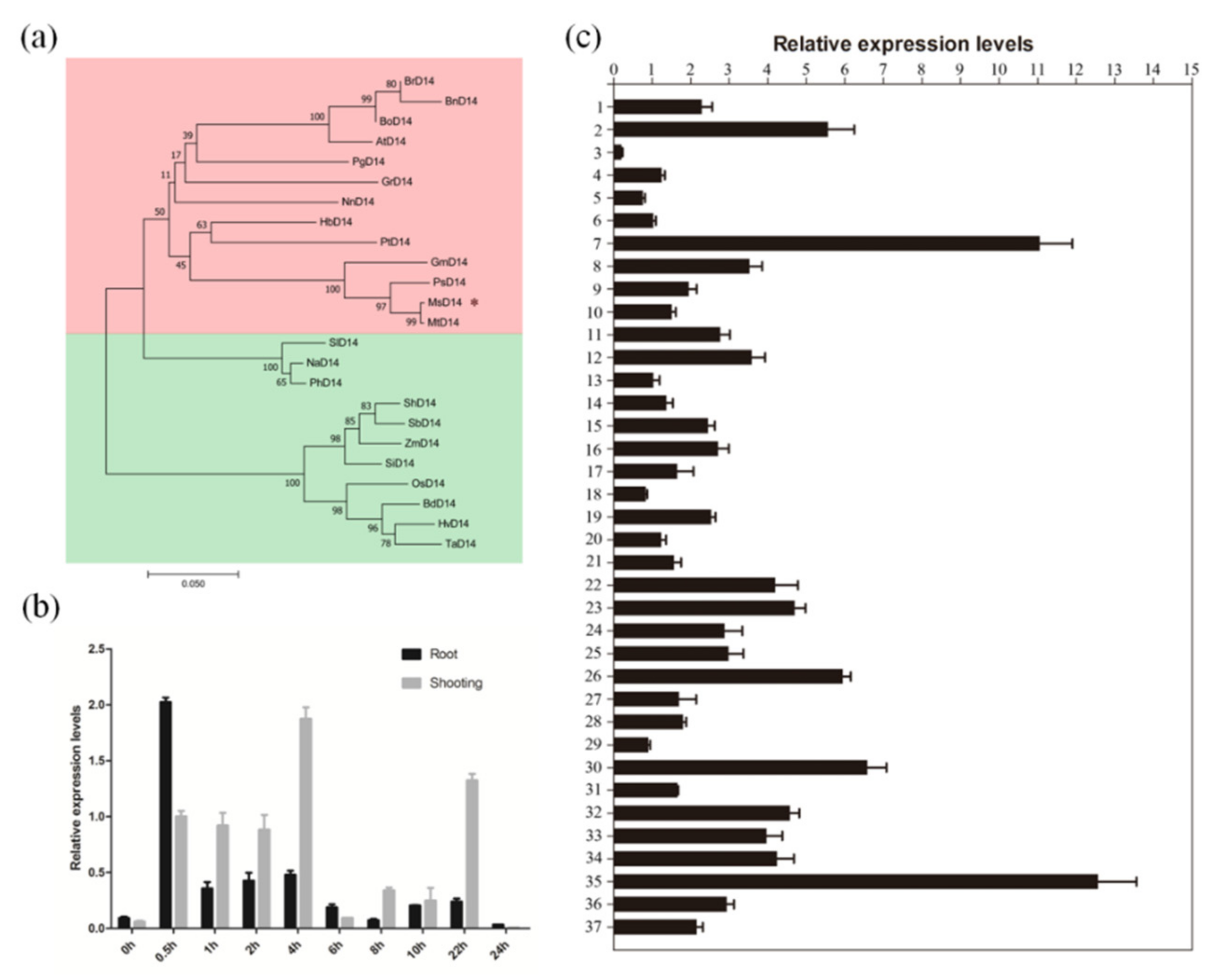 Plants 11 00939 g001 550