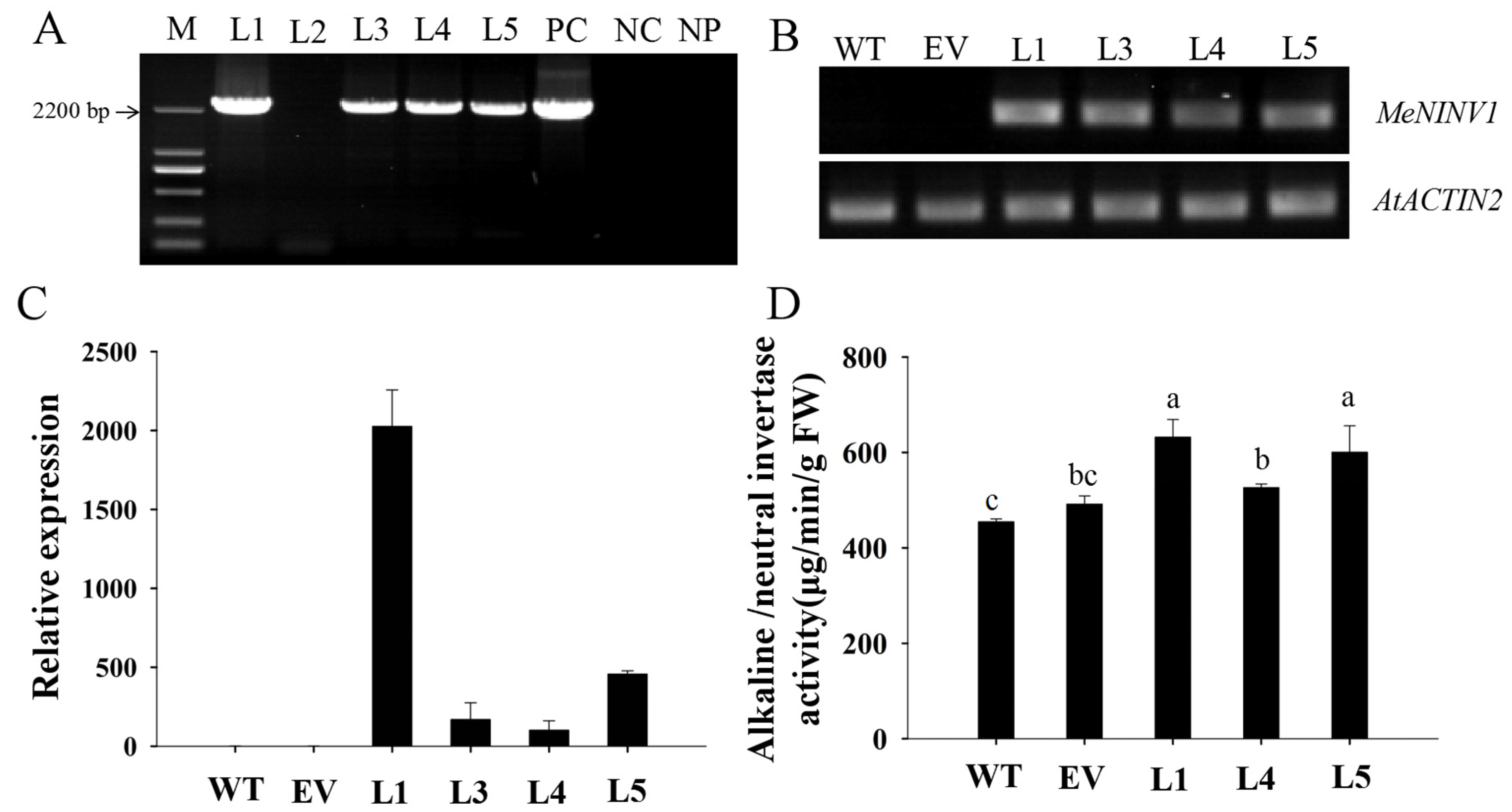 Plants 11 00946 g005