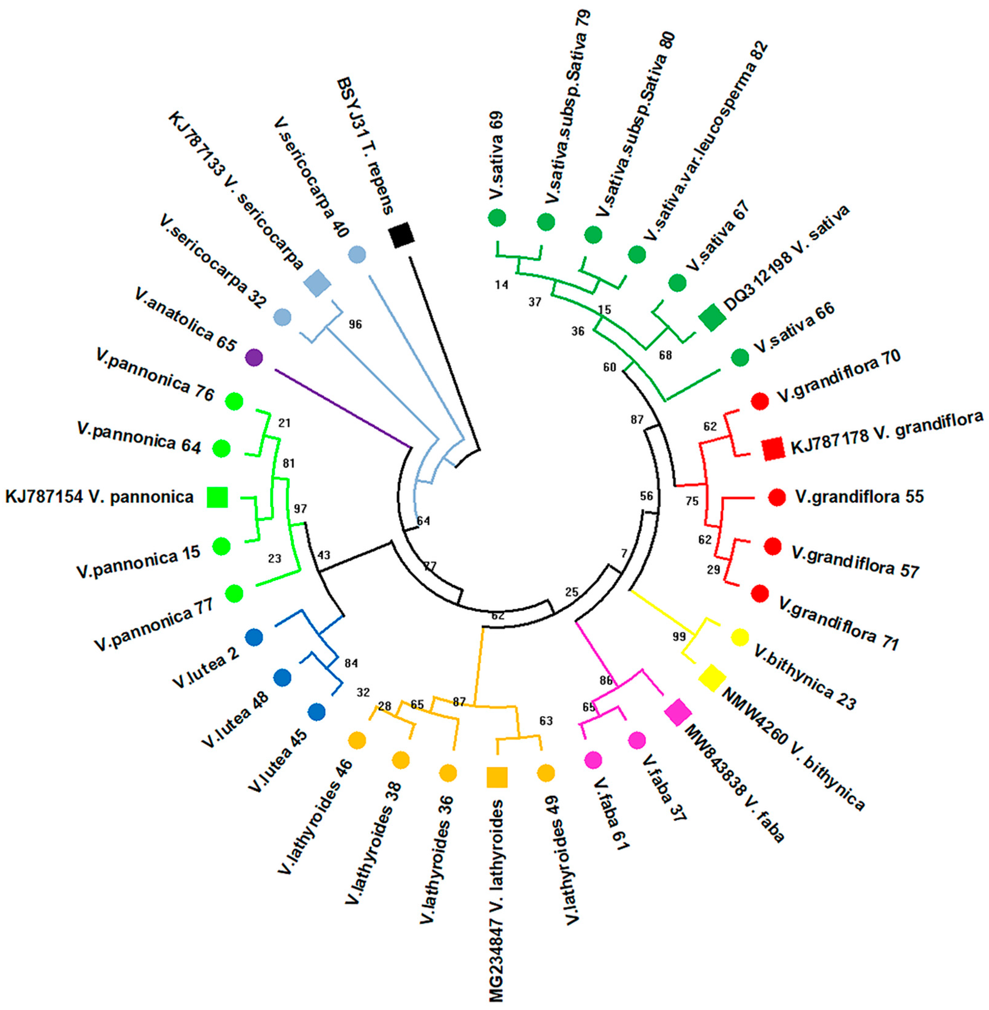 Plants 11 00947 g002 550