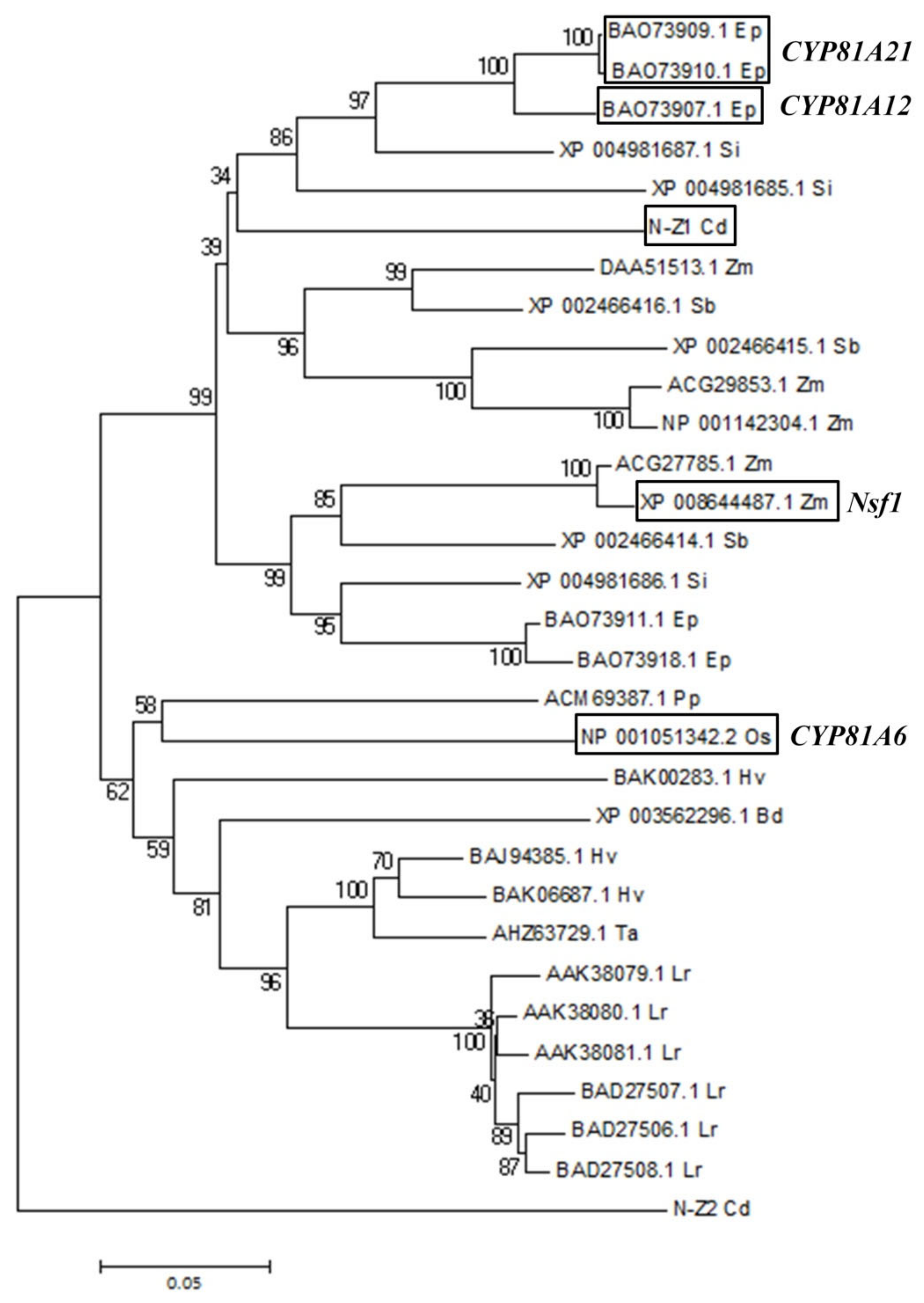 Plants 11 00949 g002 550