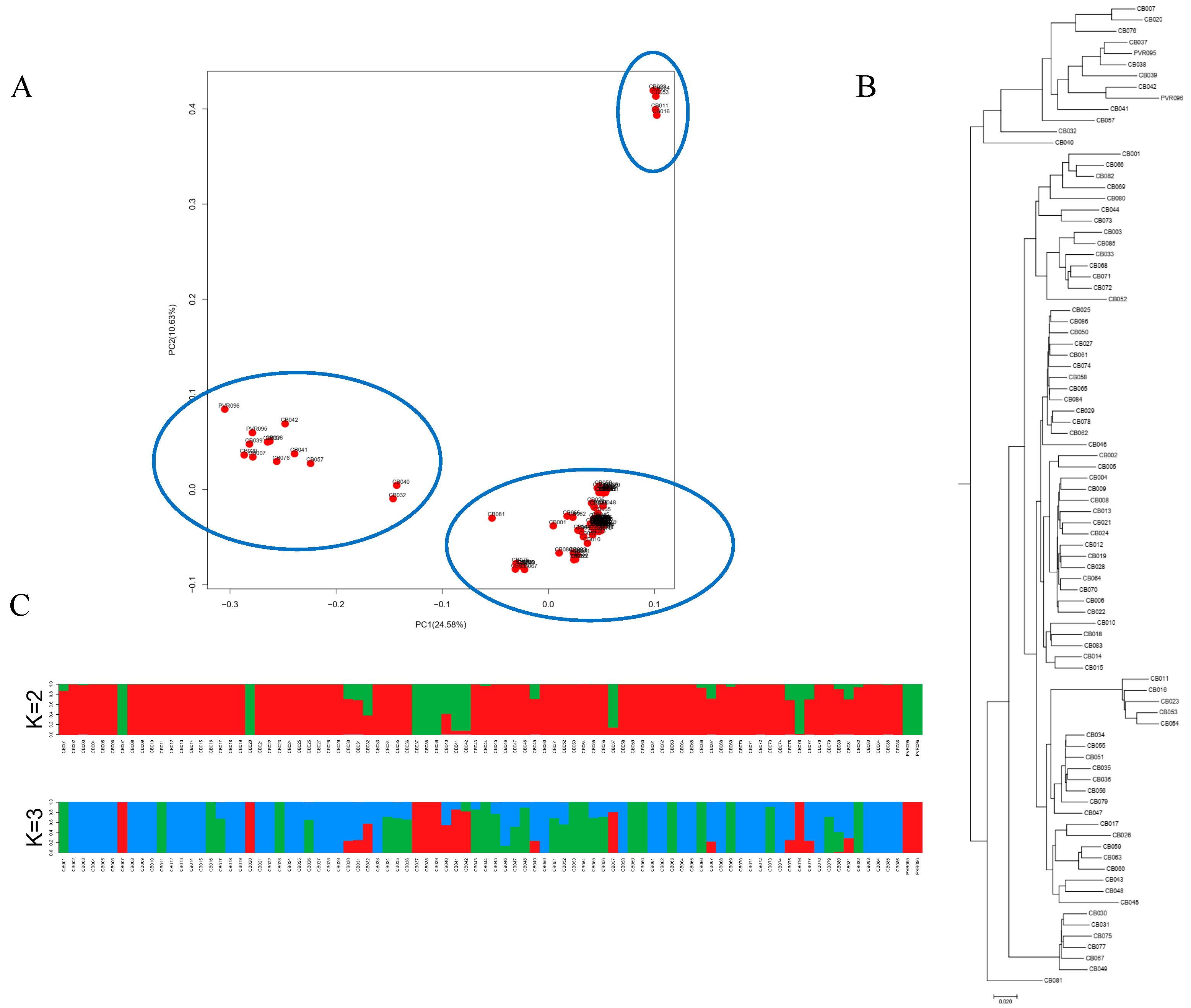 Plants 11 00953 g003 550