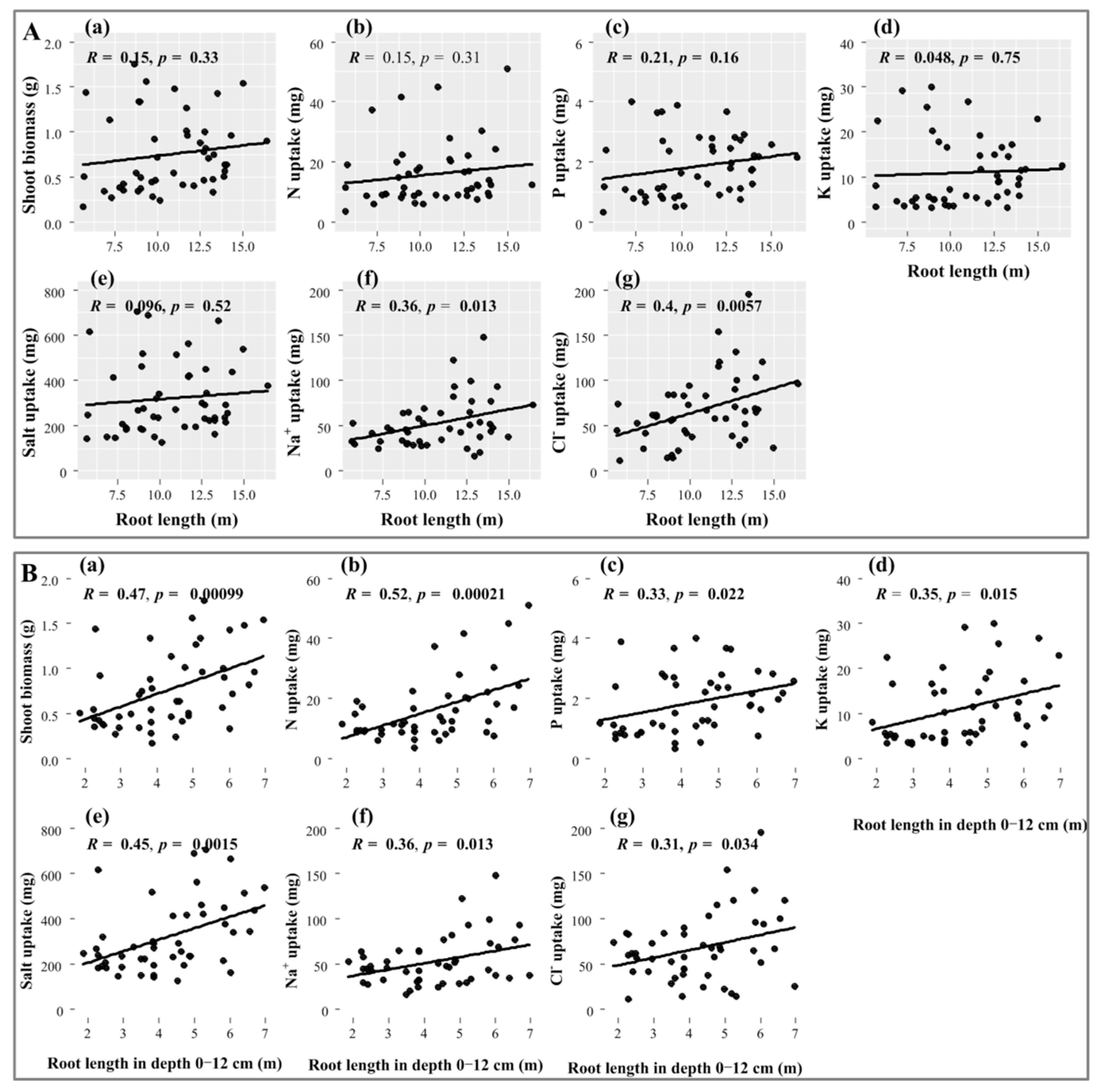 Plants 11 00955 g004