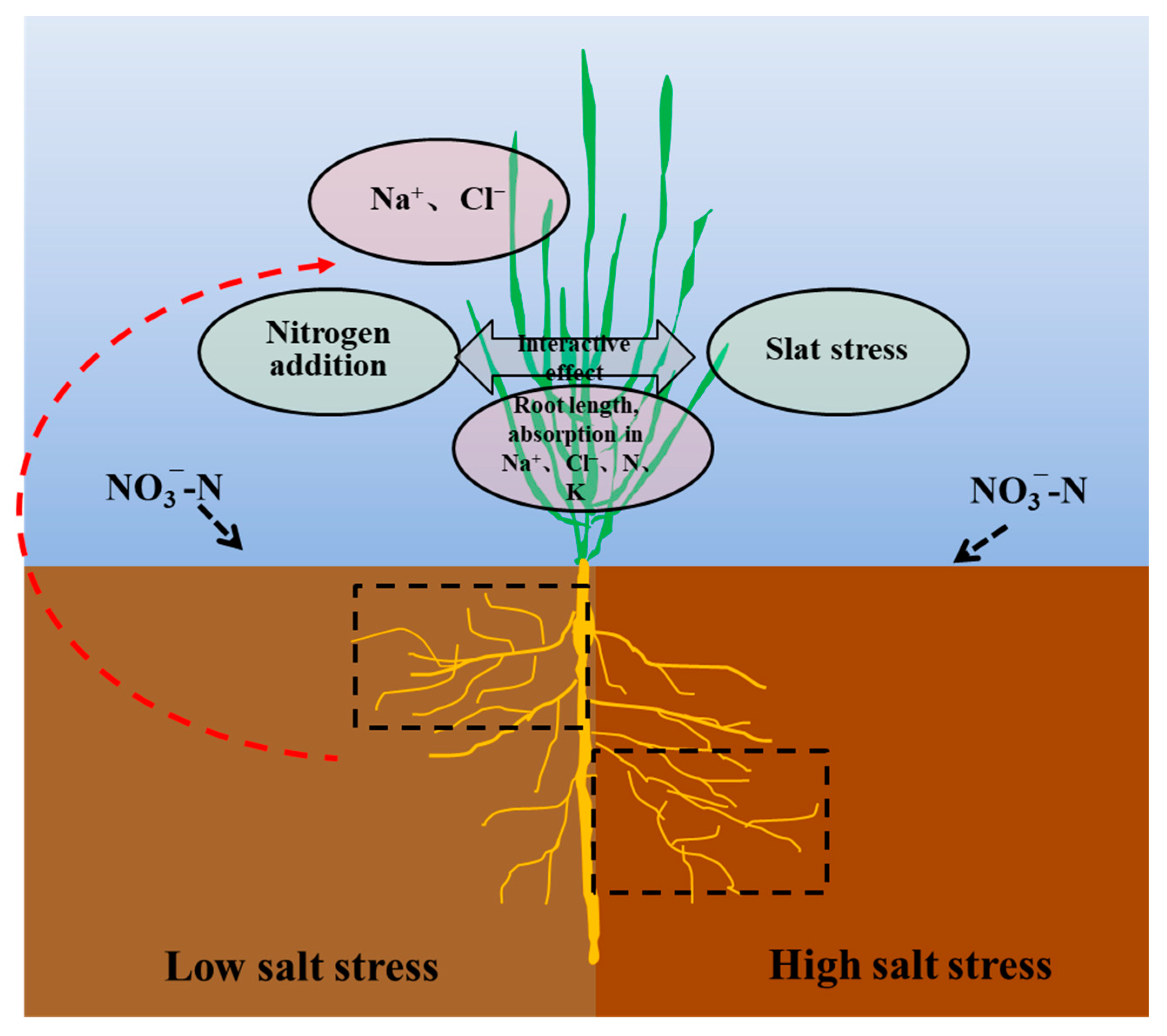 Plants 11 00955 g006