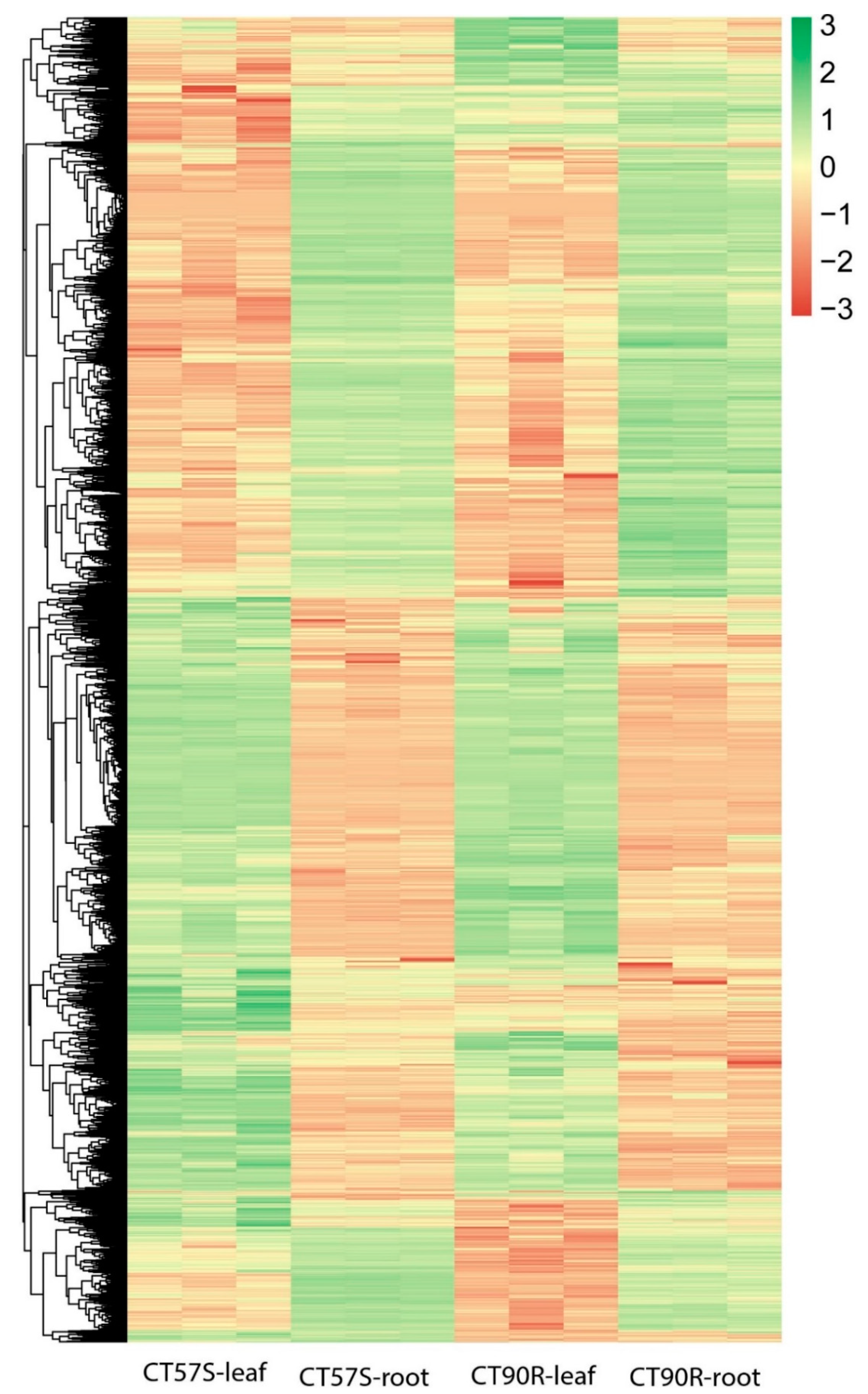 Plants 11 00961 g003