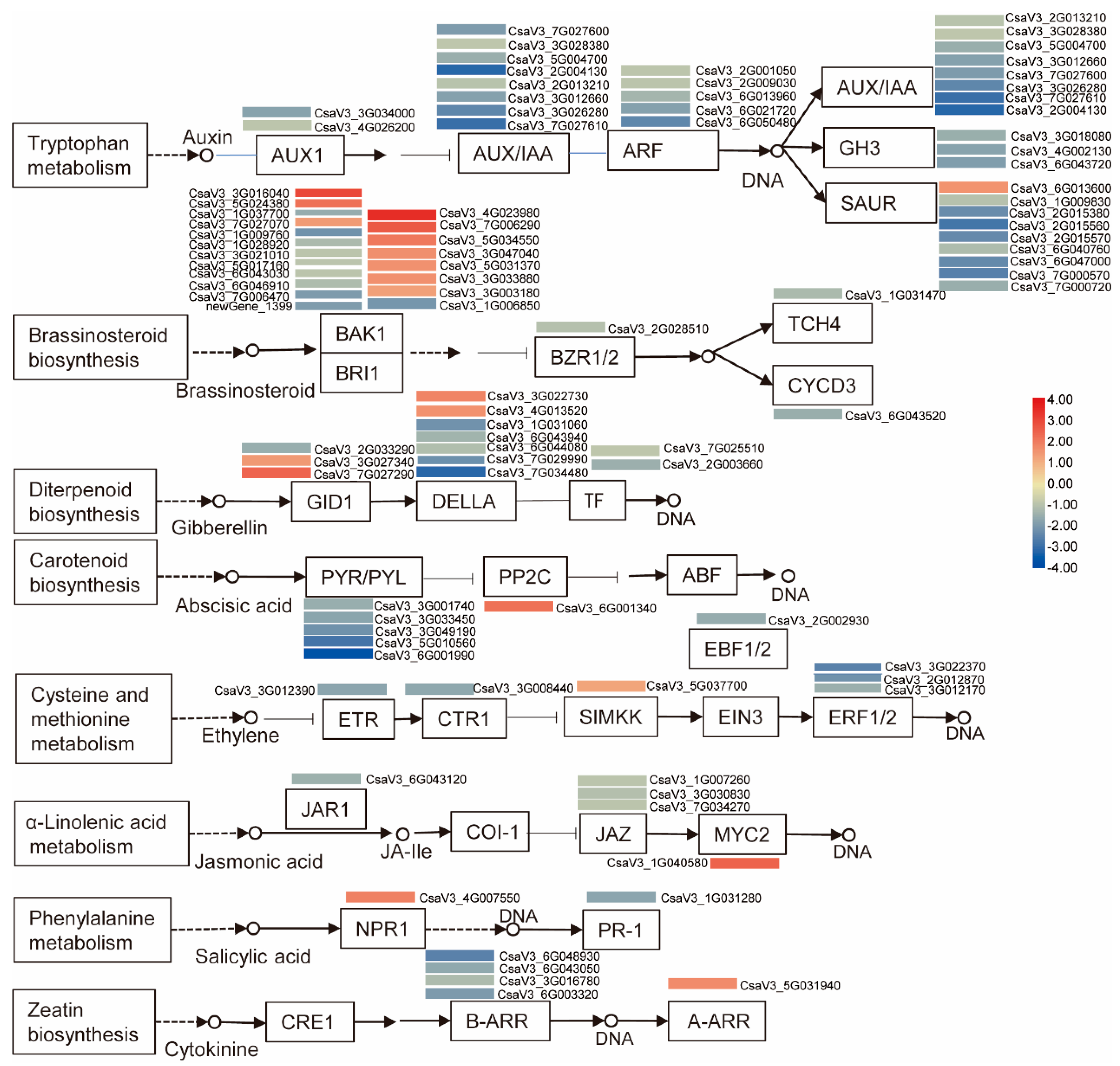 Plants 11 00961 g008