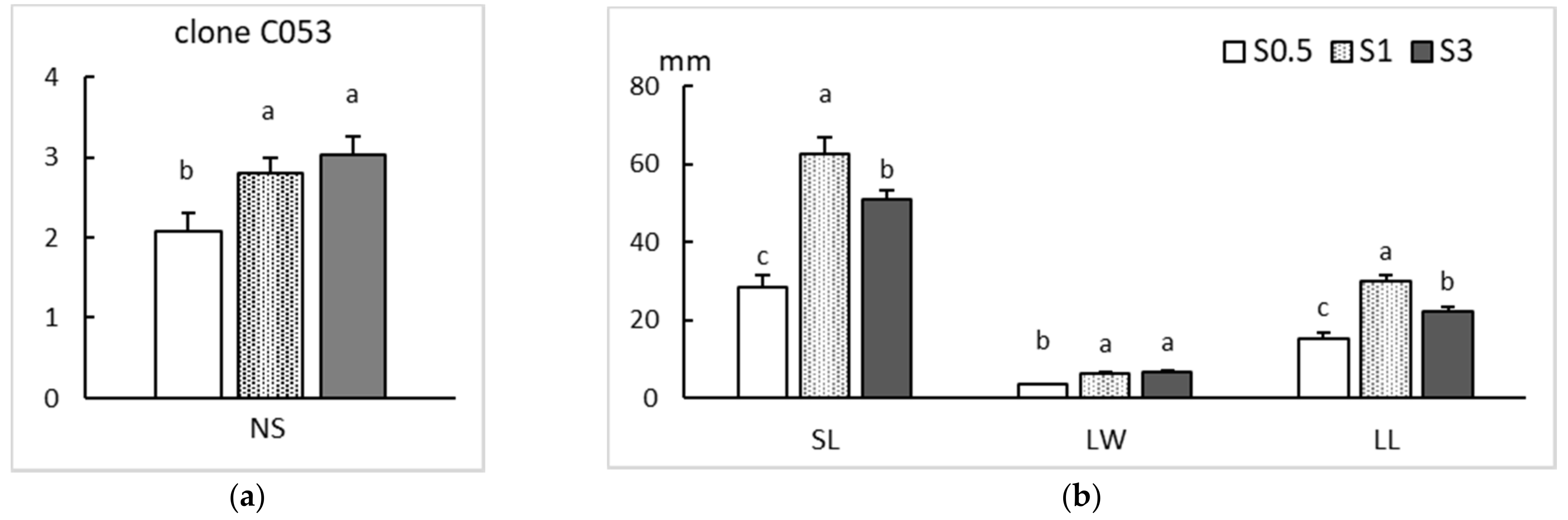 Plants 11 00965 g003 Plants 11 00965 g003