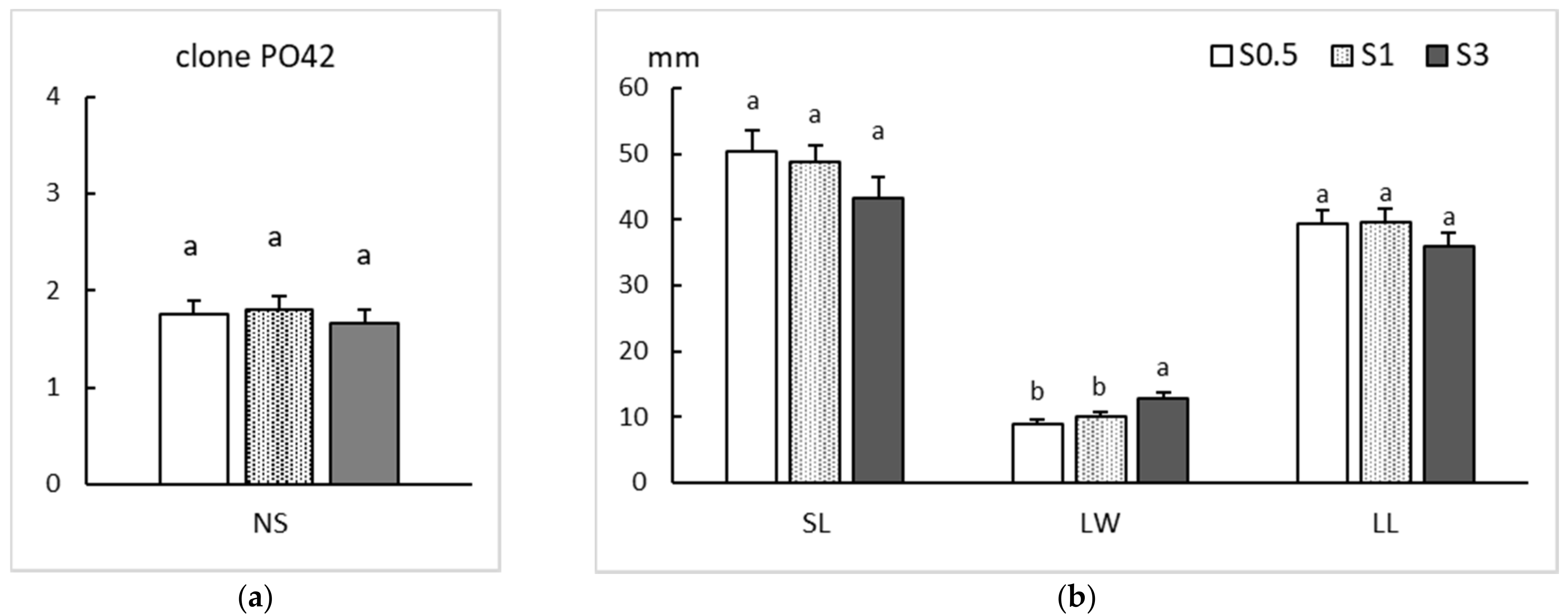 Plants 11 00965 g004 Plants 11 00965 g004
