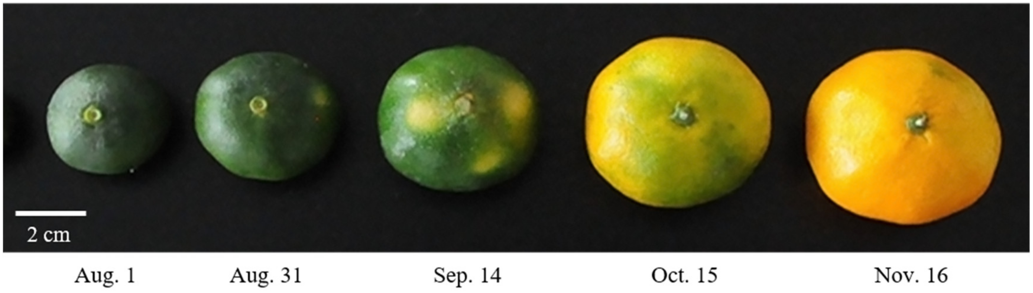 Plants 11 00967 g001