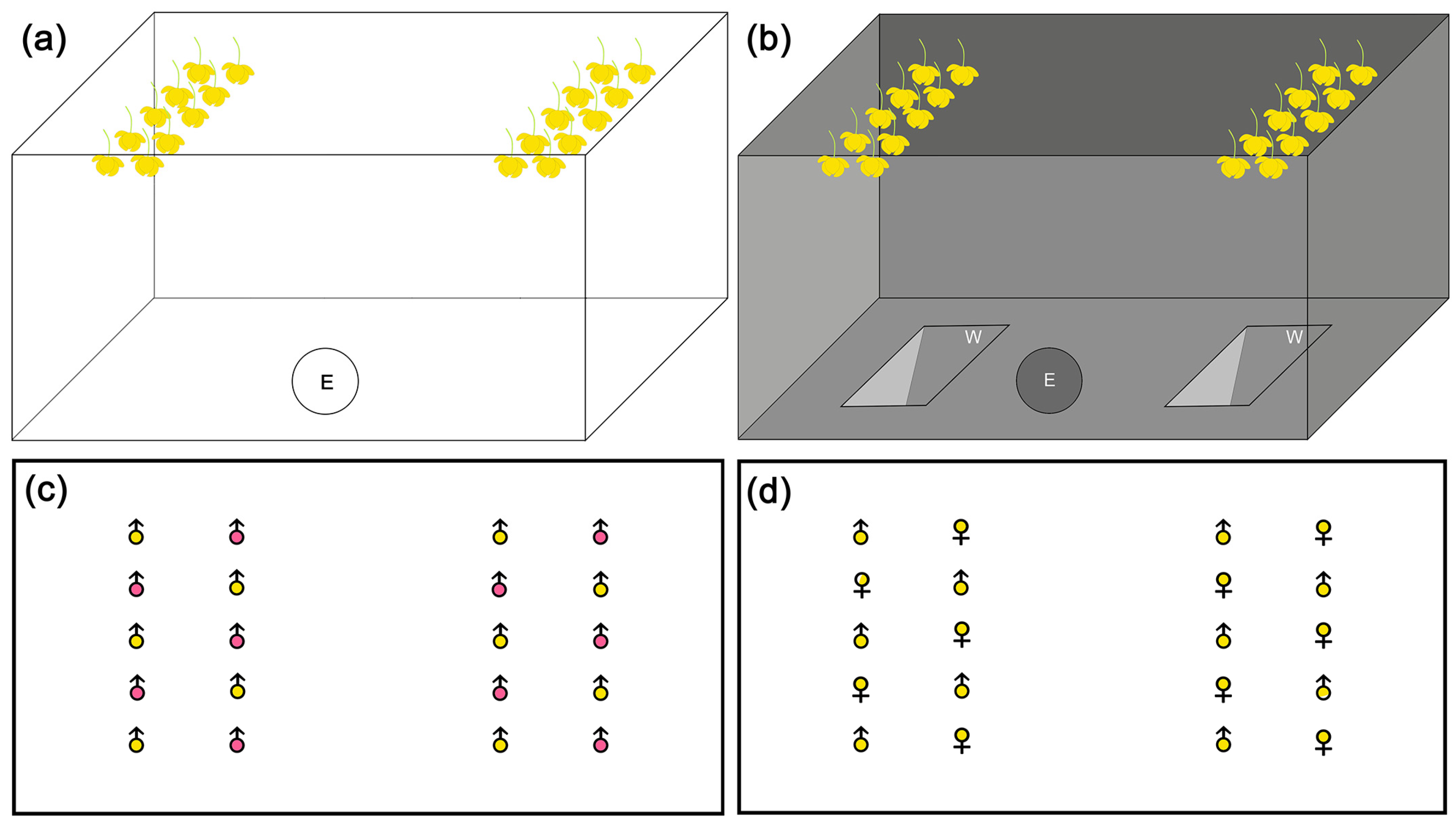 Plants 11 00974 g003