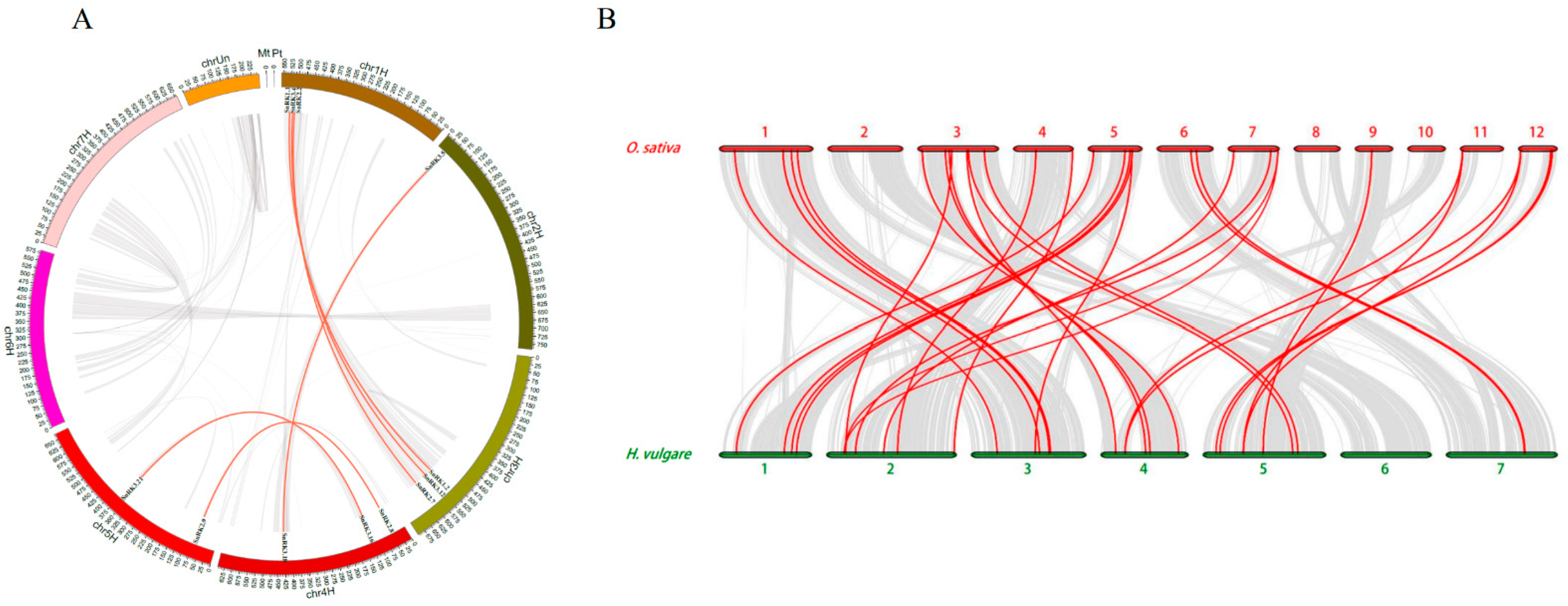 Plants 11 00975 g005 550
