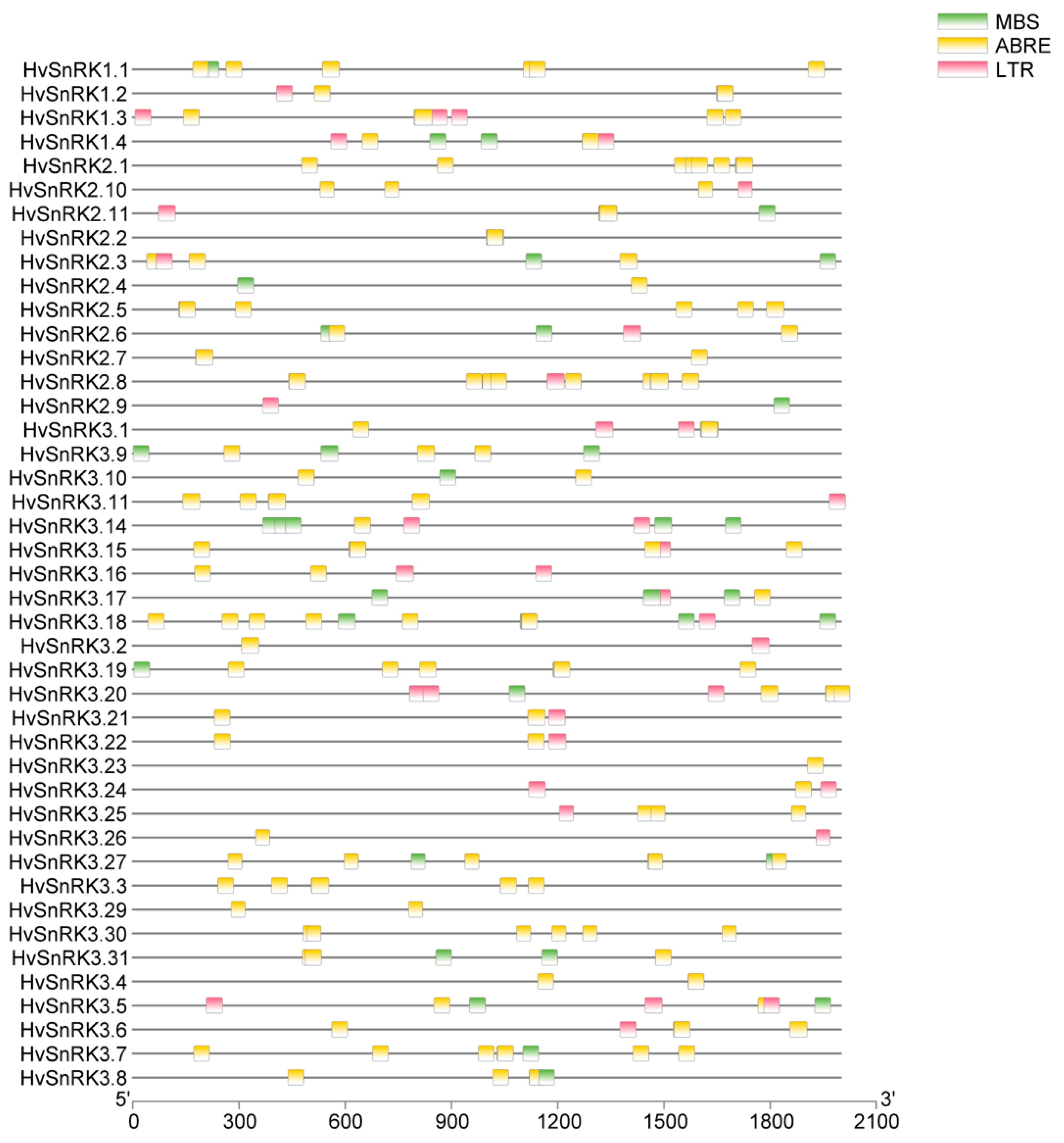 Plants 11 00975 g006 550