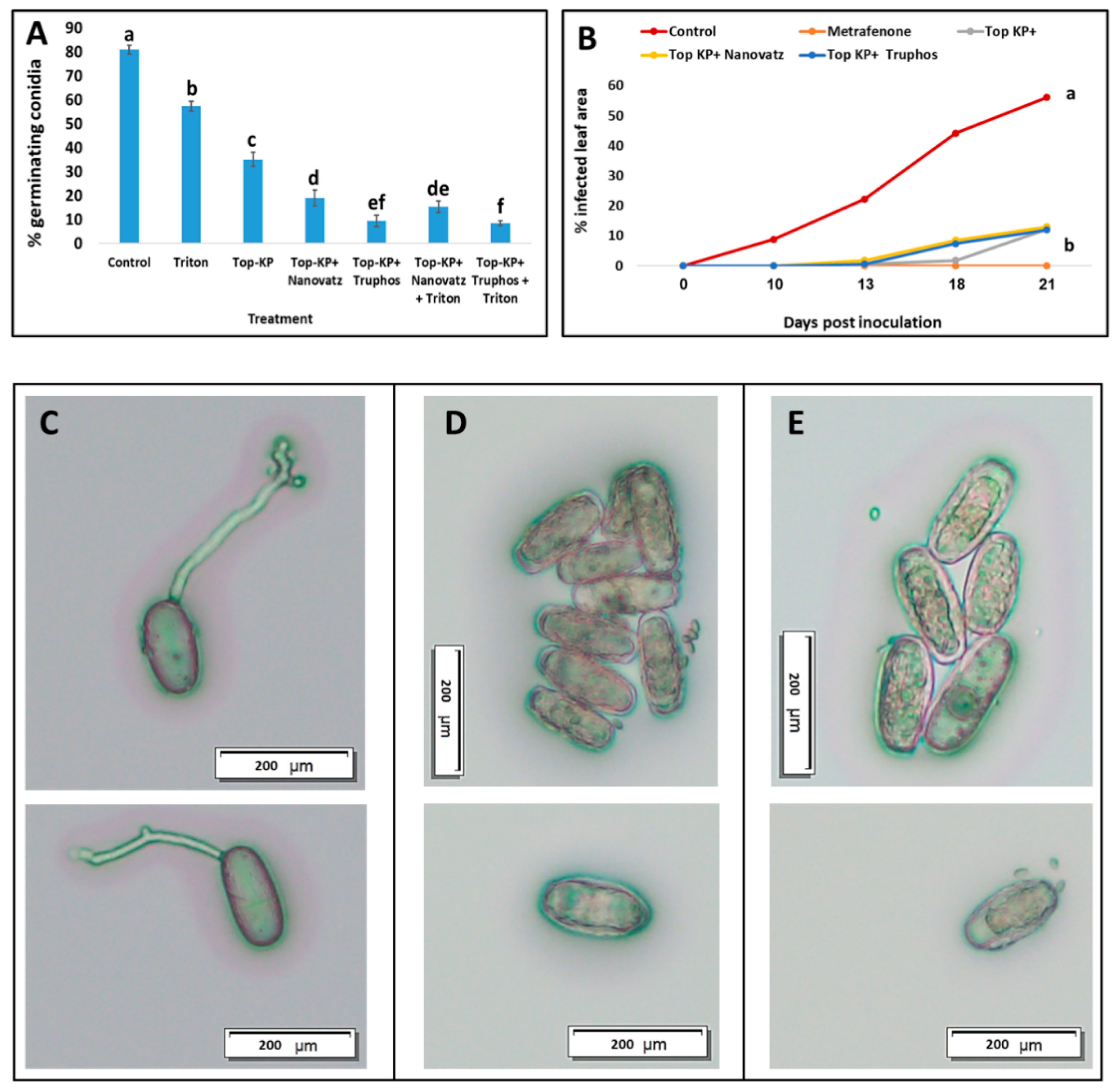 Plants 11 00978 g009 Plants 11 00978 g009