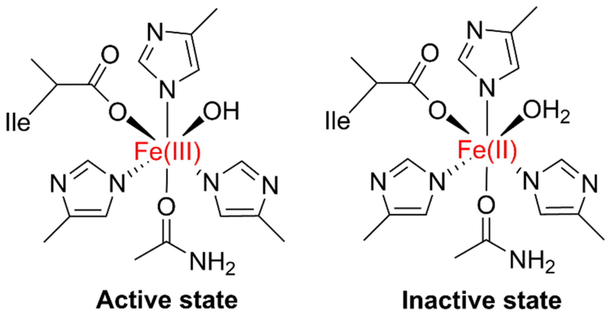 Plants 11 00979 g001 Plants 11 00979 g001