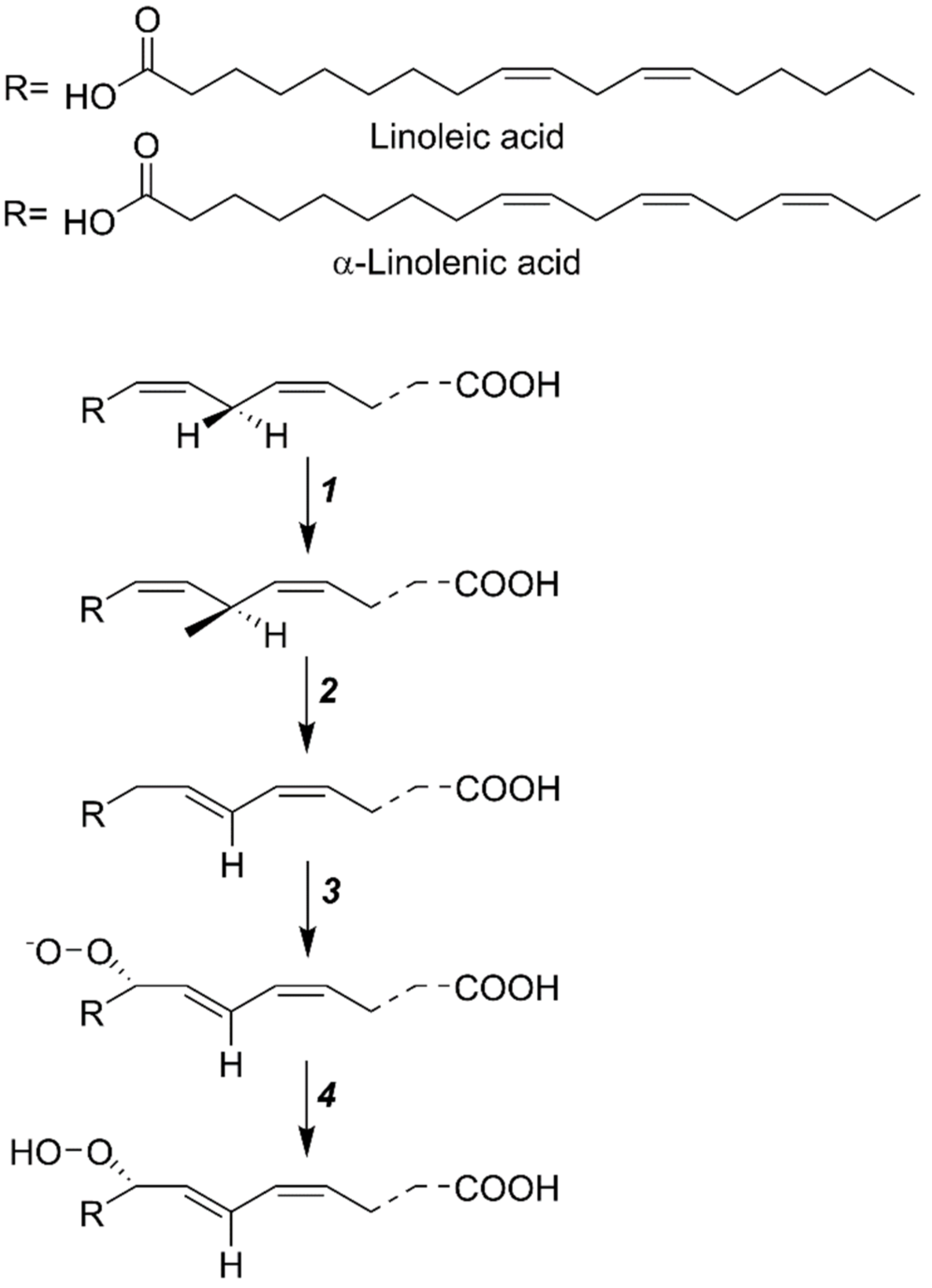 Plants 11 00979 g002 Plants 11 00979 g002