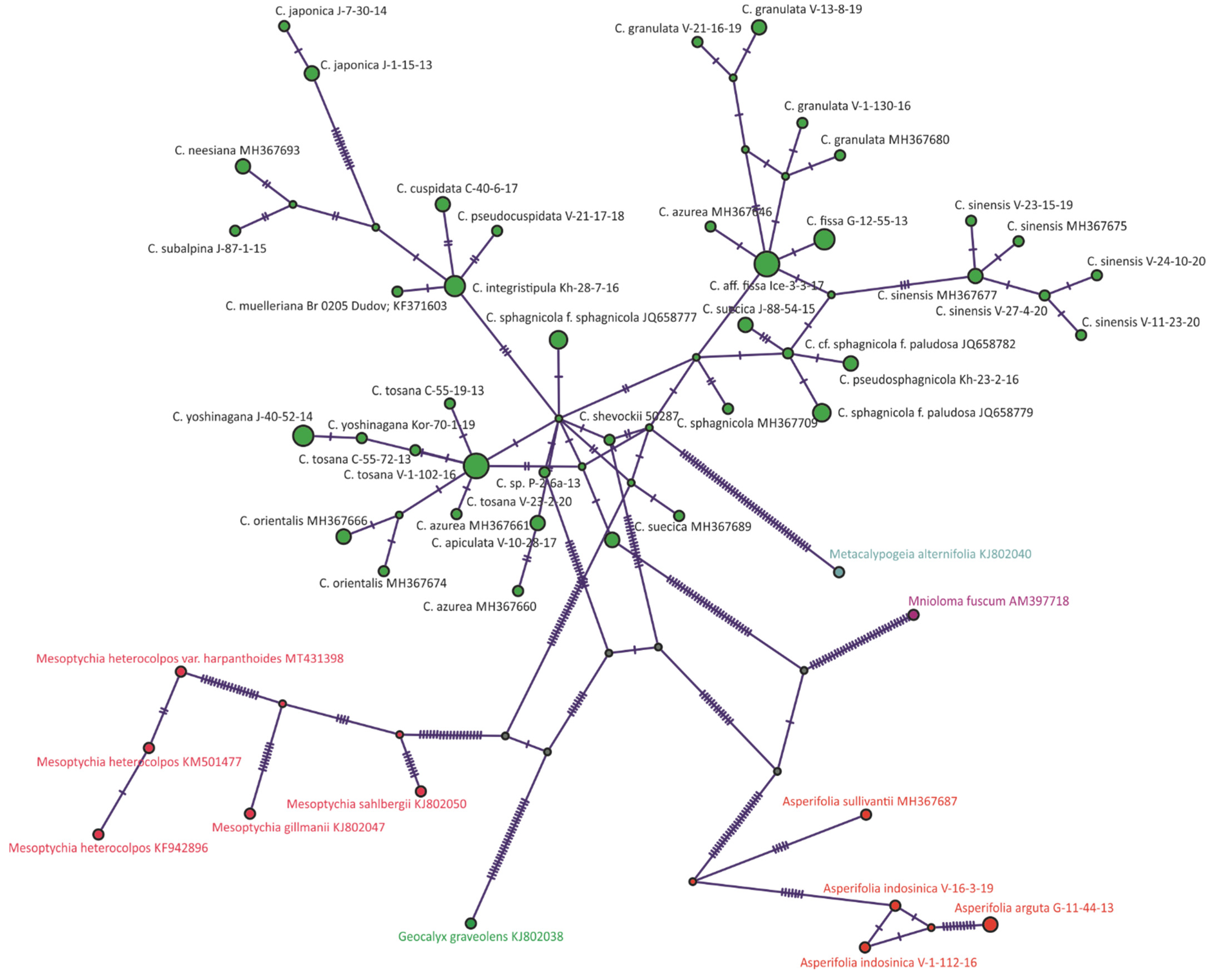 Plants 11 00983 g002 Plants 11 00983 g002