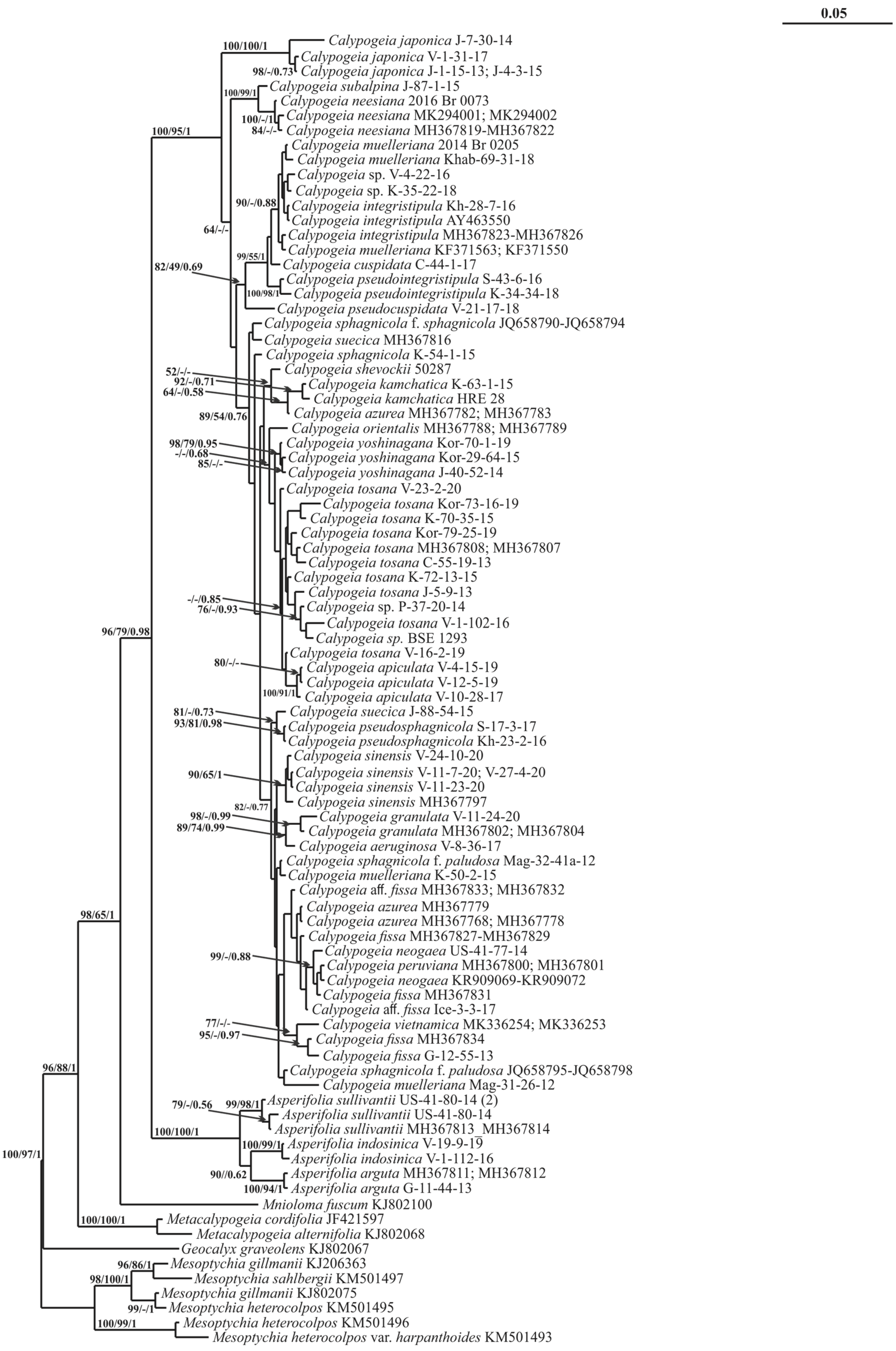 Plants 11 00983 g004 Plants 11 00983 g004