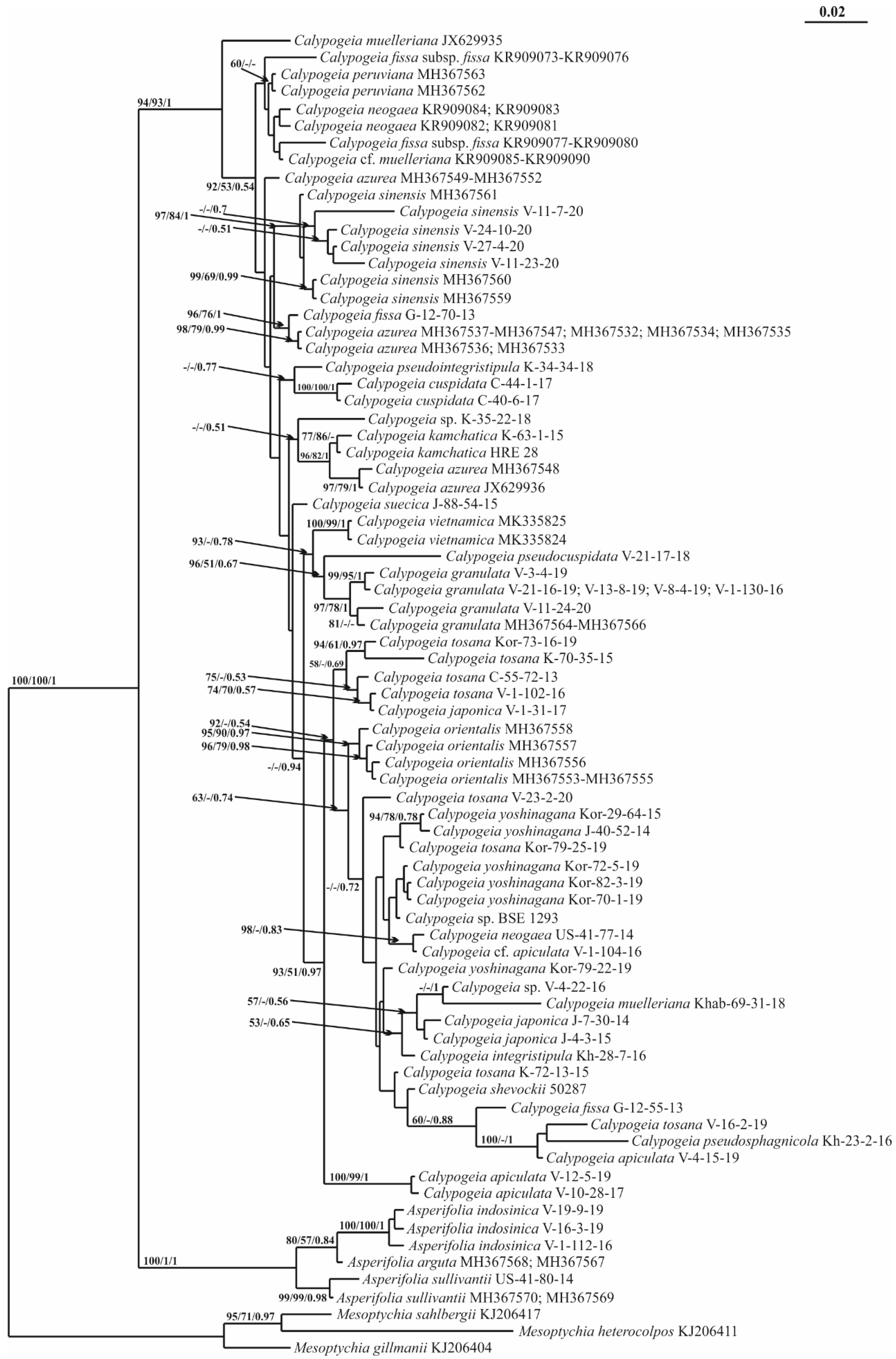 Plants 11 00983 g005 Plants 11 00983 g005