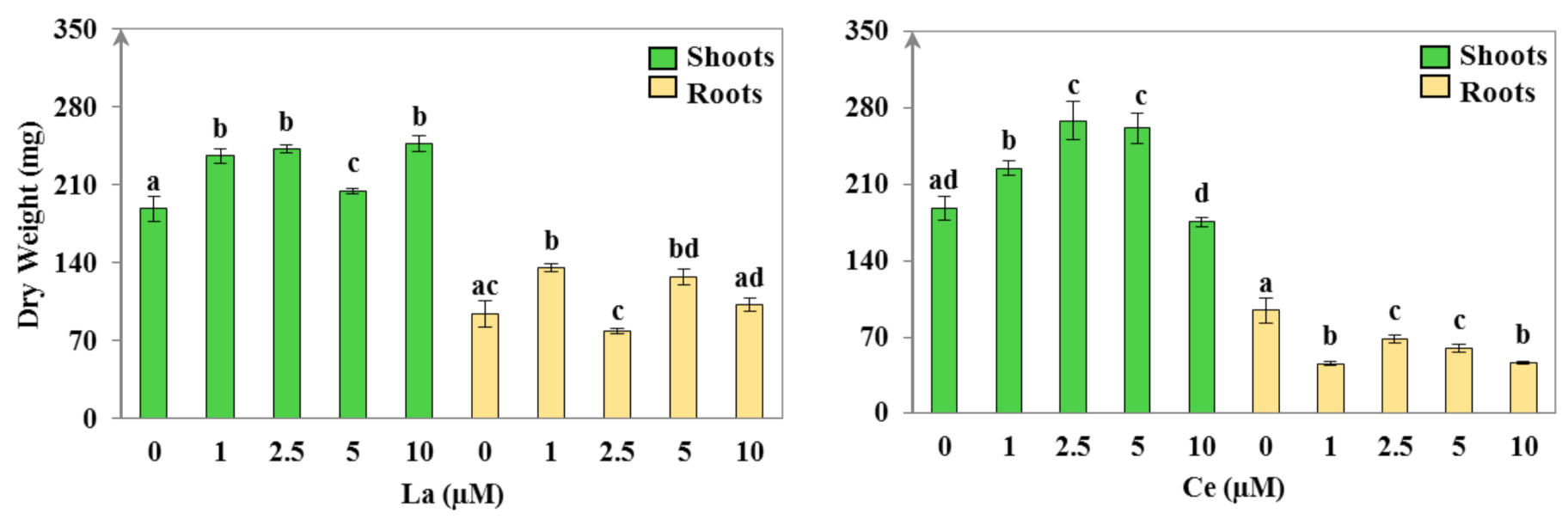 Plants 11 00988 g001