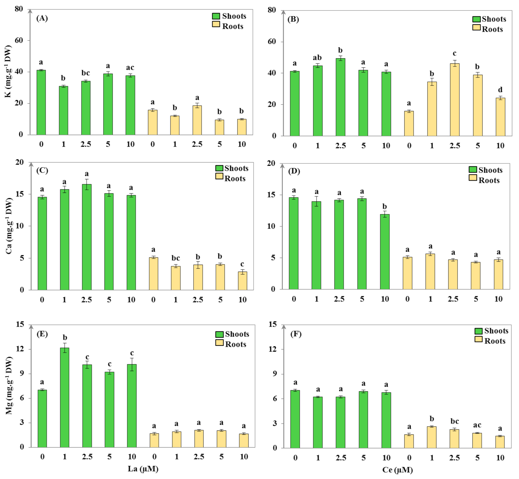 Plants 11 00988 g003