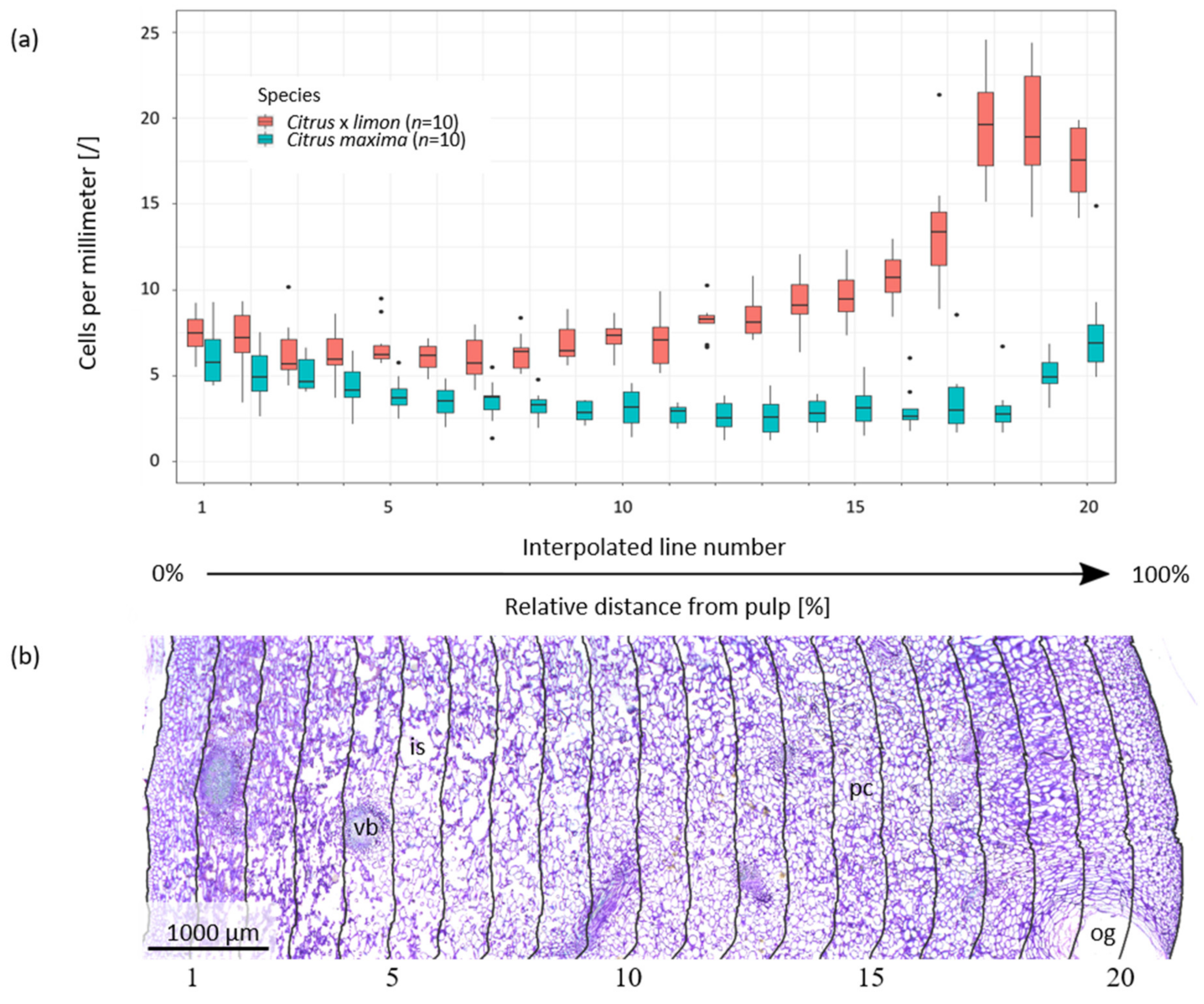 Plants 11 00991 g003 550