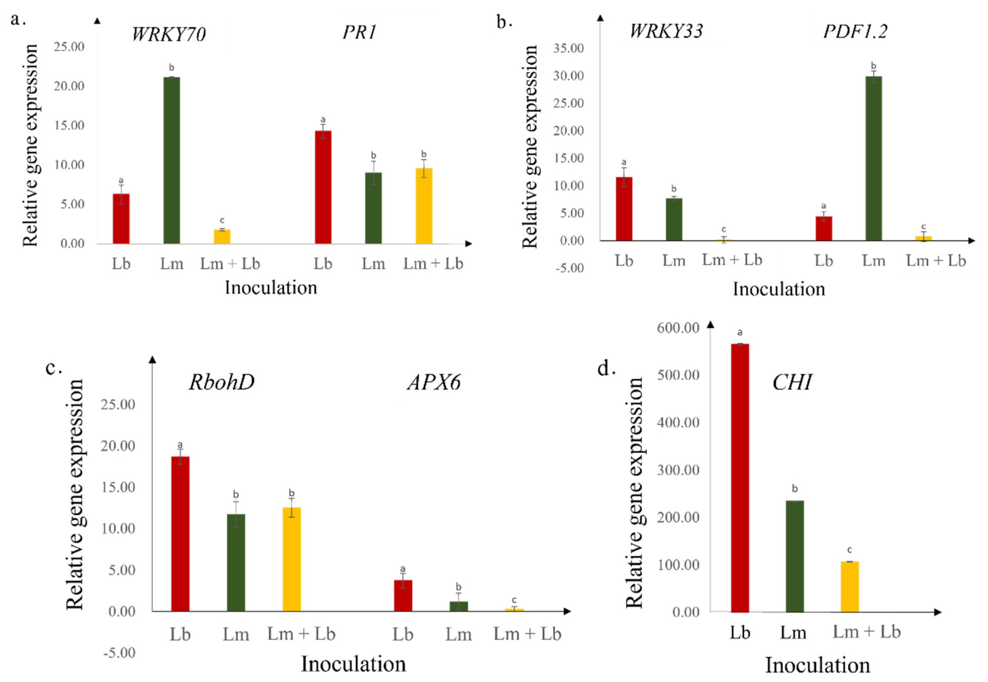 Plants 11 00996 g004