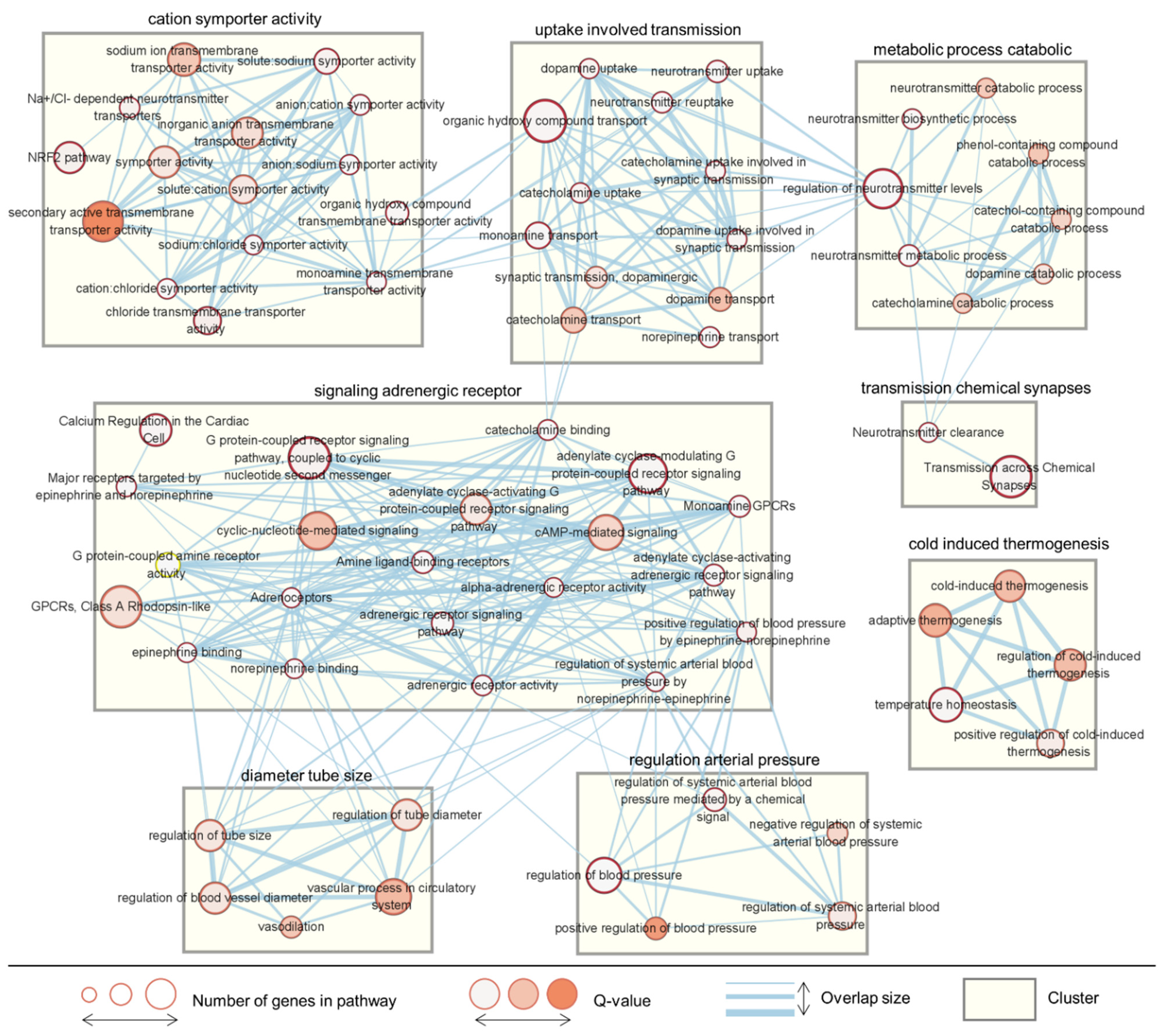 Plants 11 00997 g004 550