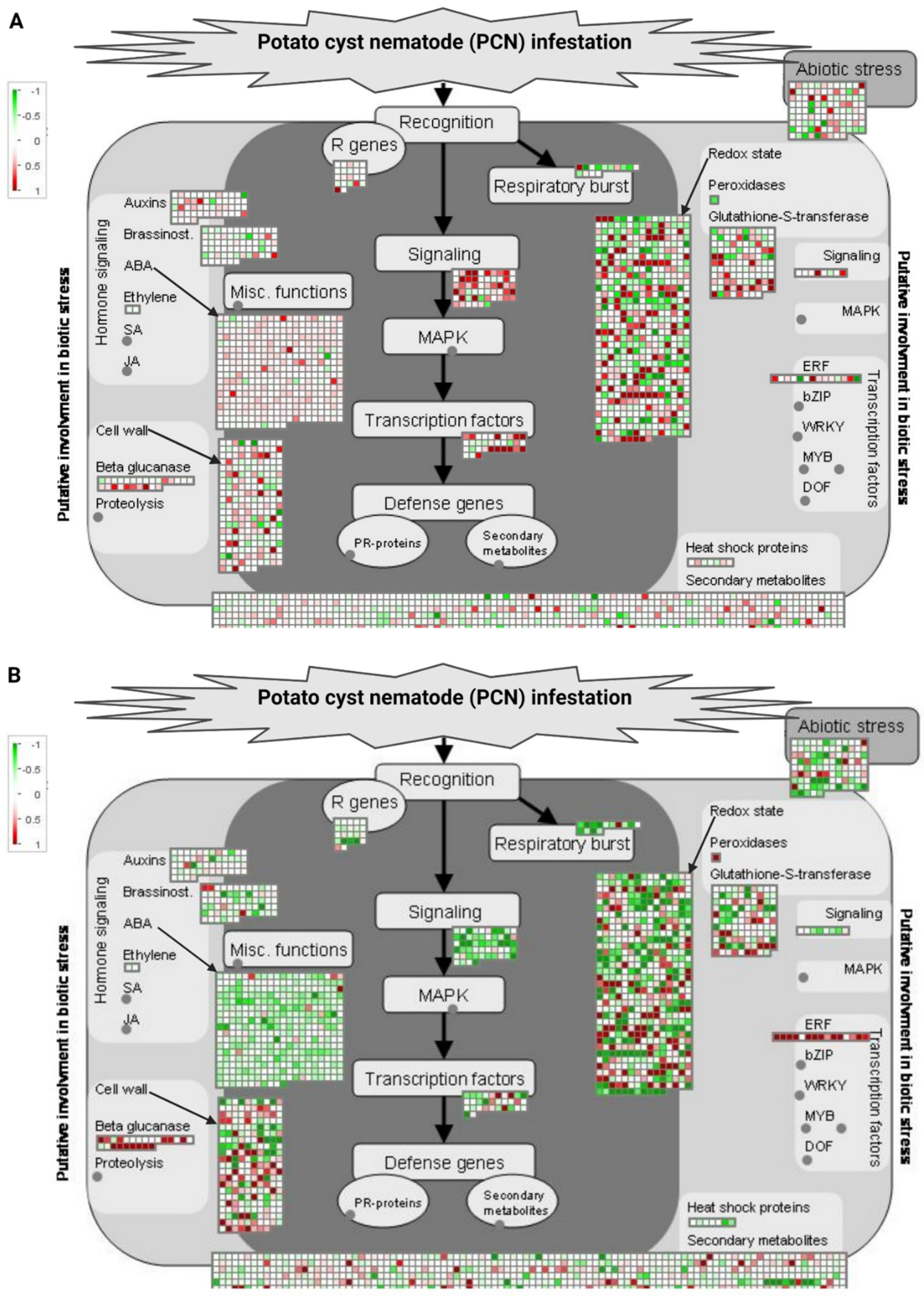 Plants 11 01008 g006