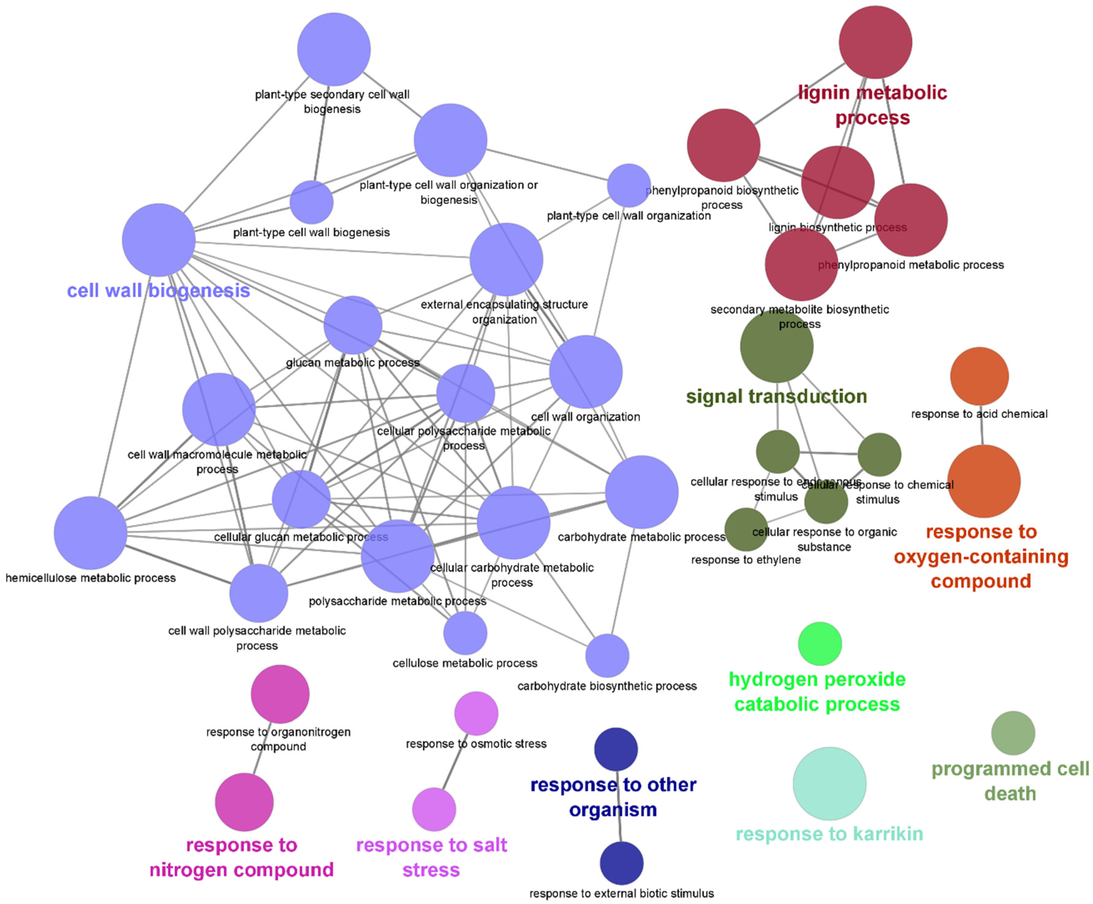 Plants 11 01008 g009