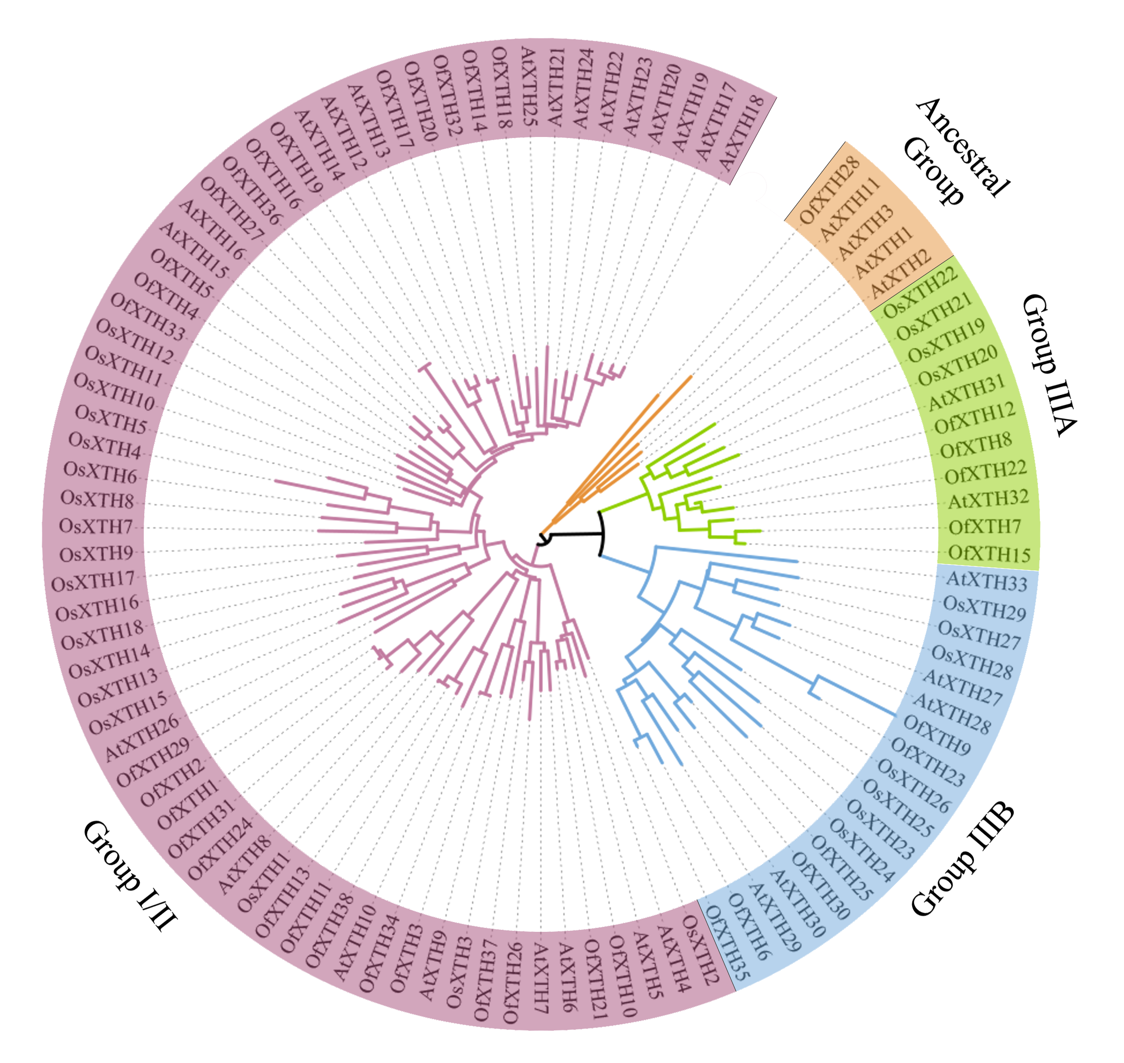 Plants 11 01015 g001 Plants 11 01015 g001