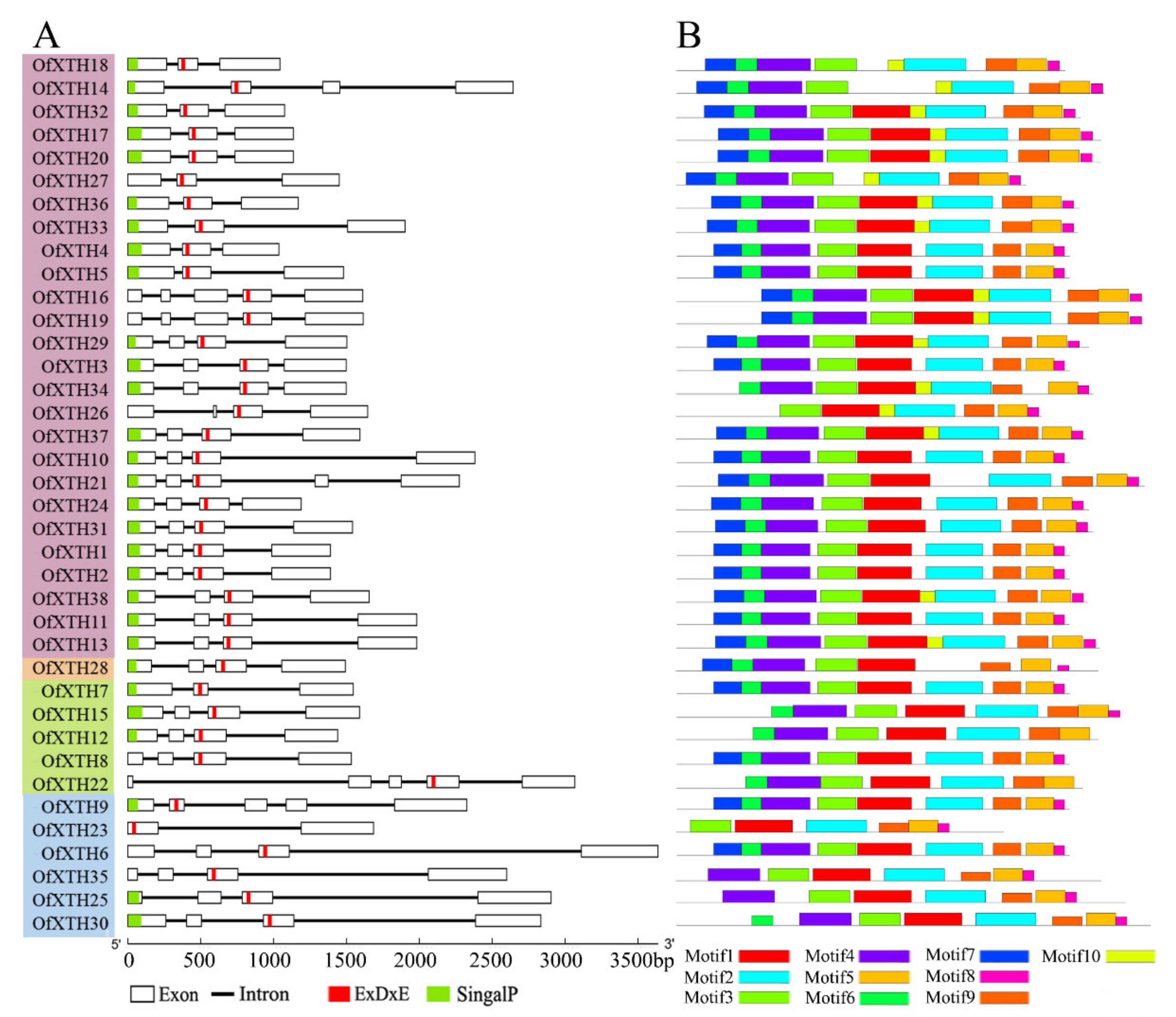 Plants 11 01015 g002 Plants 11 01015 g002