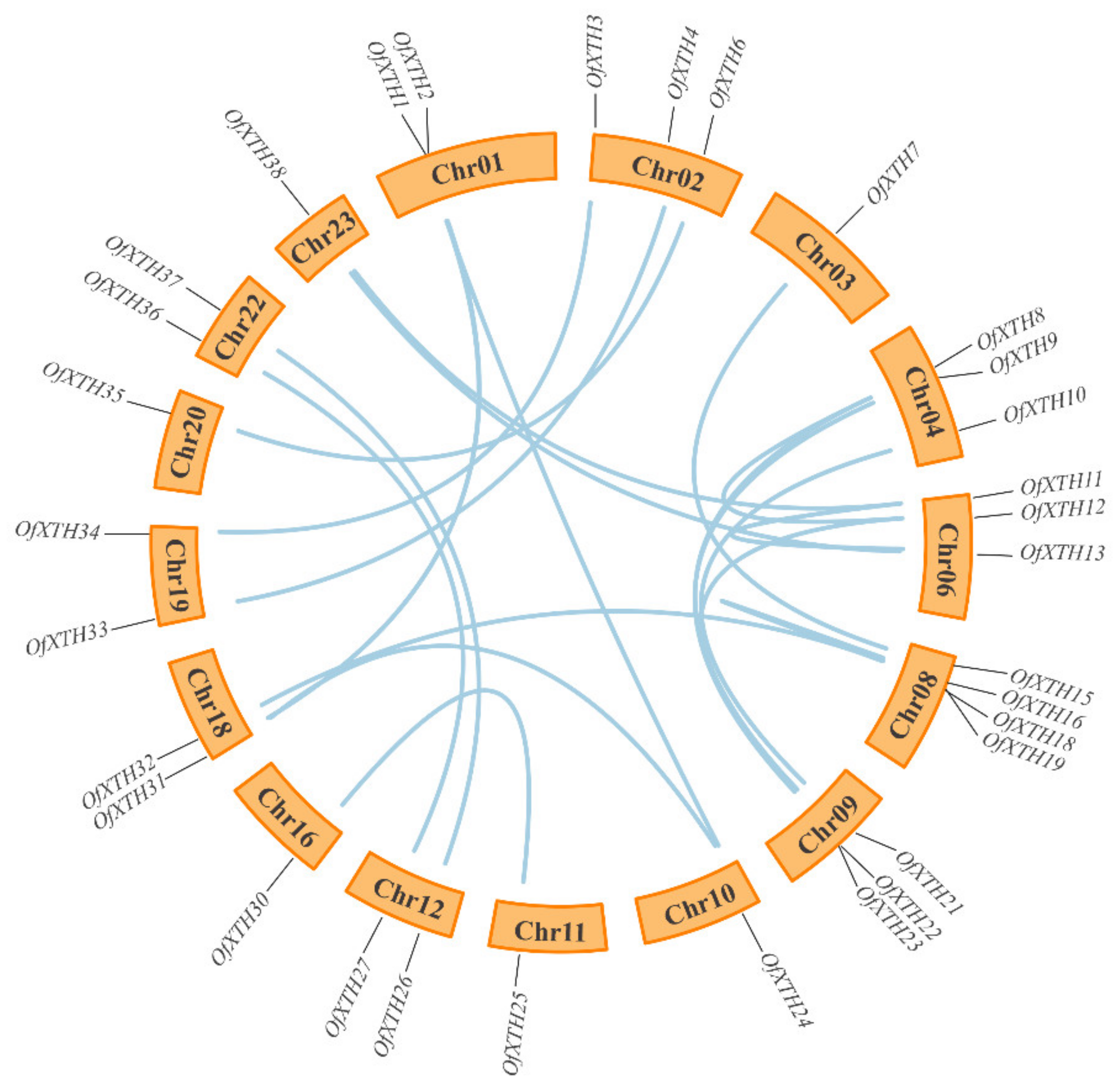 Plants 11 01015 g004 Plants 11 01015 g004