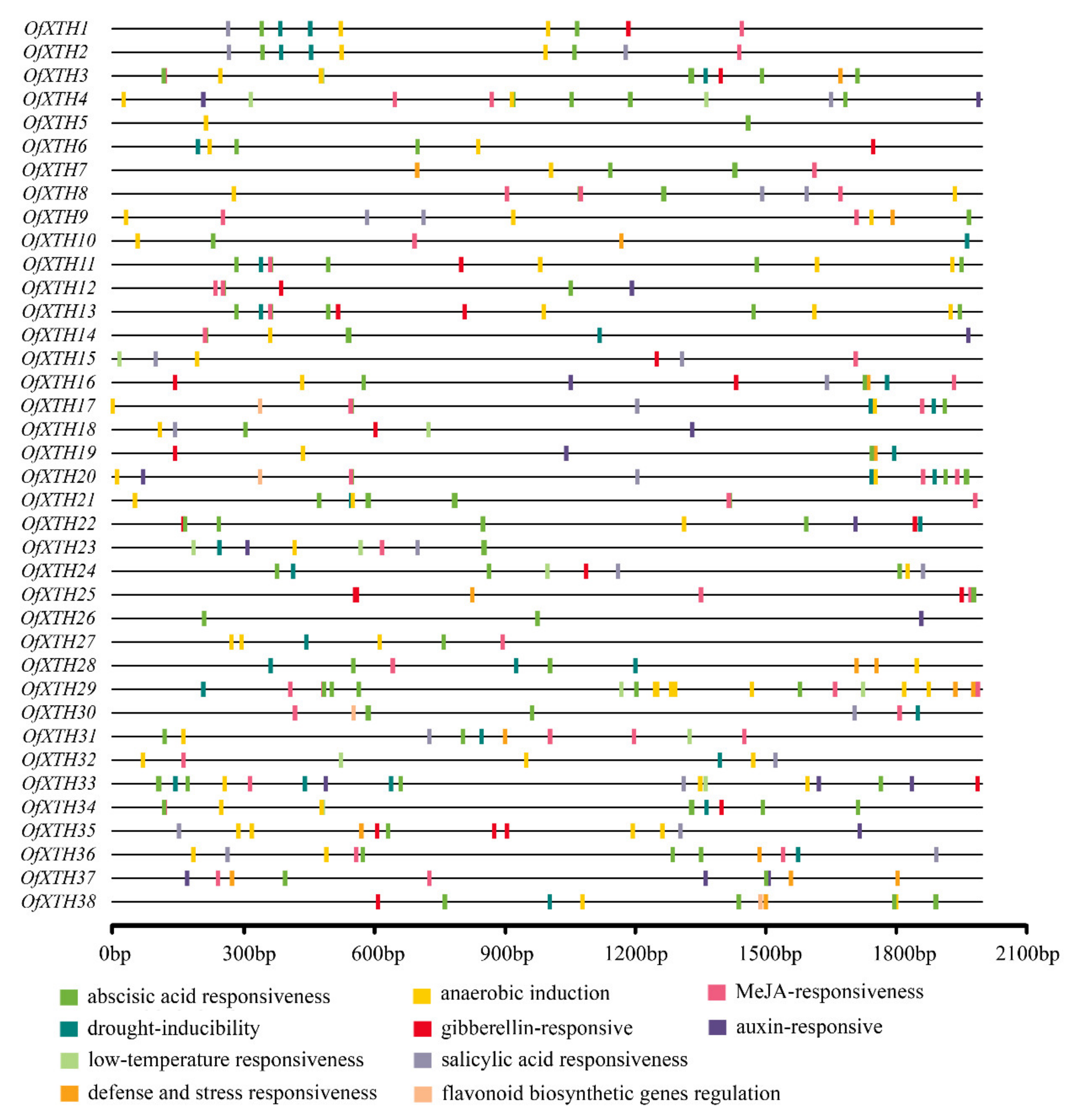 Plants 11 01015 g005 Plants 11 01015 g005