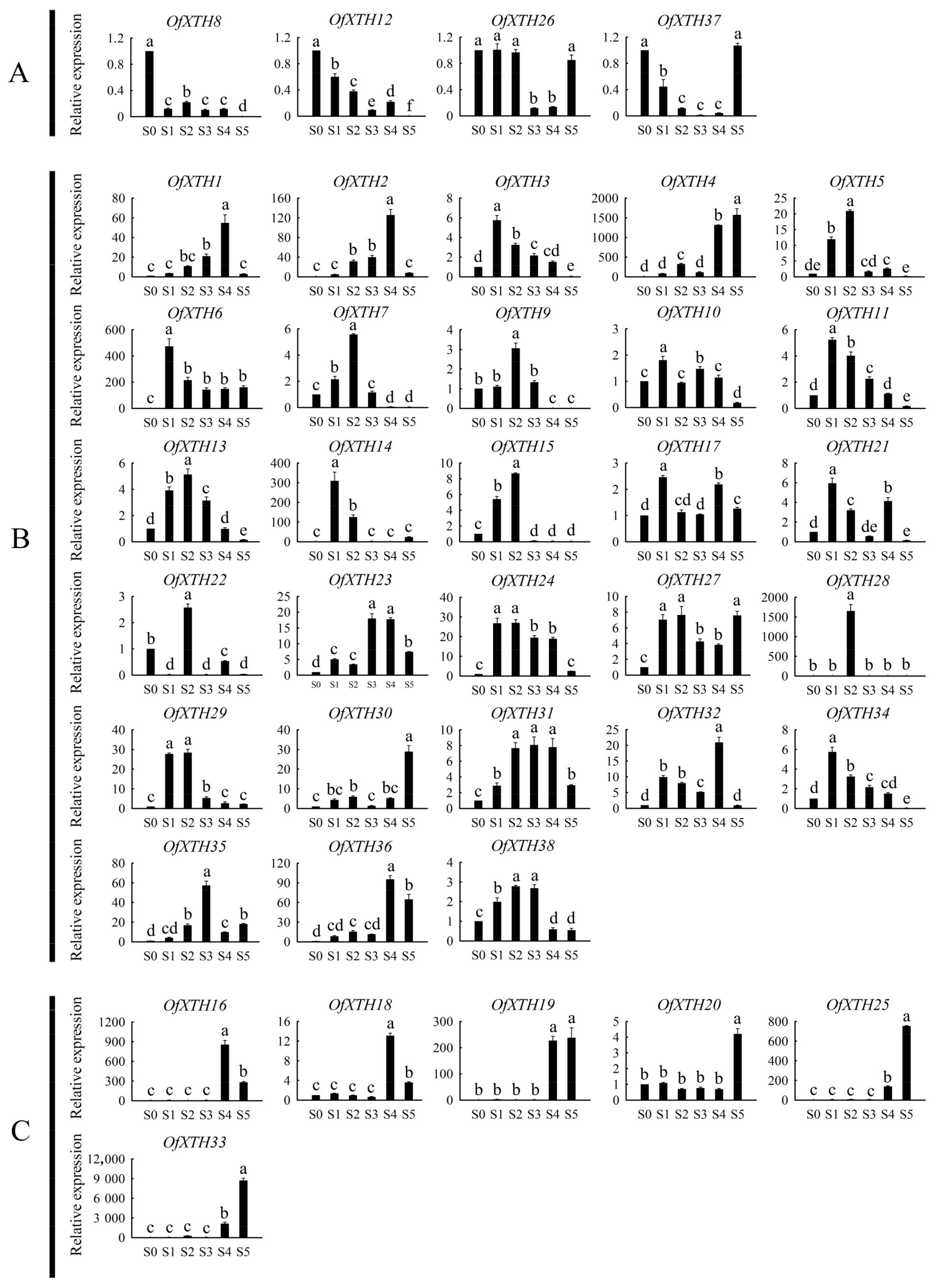 Plants 11 01015 g006 Plants 11 01015 g006