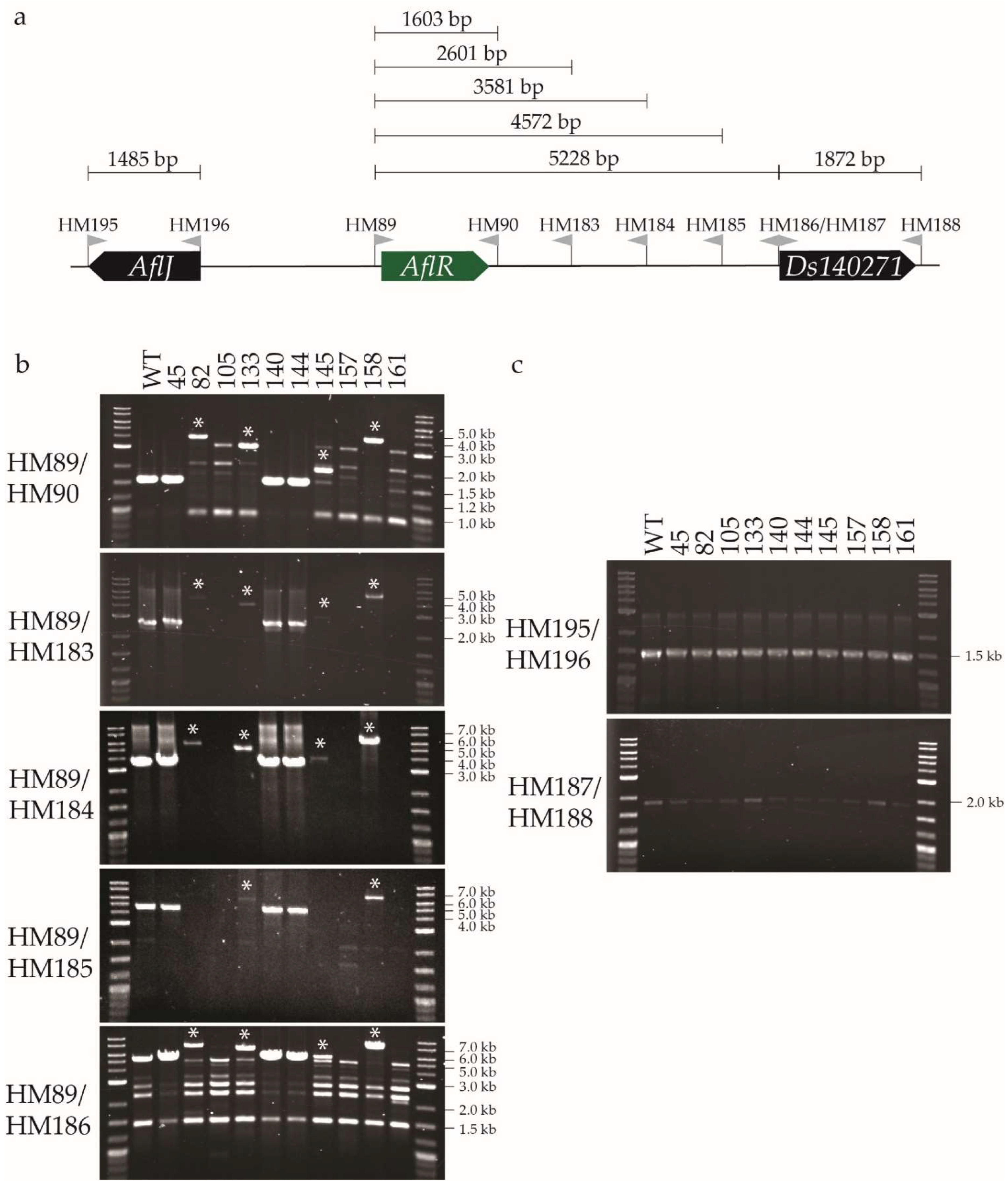 Plants 11 01016 g002