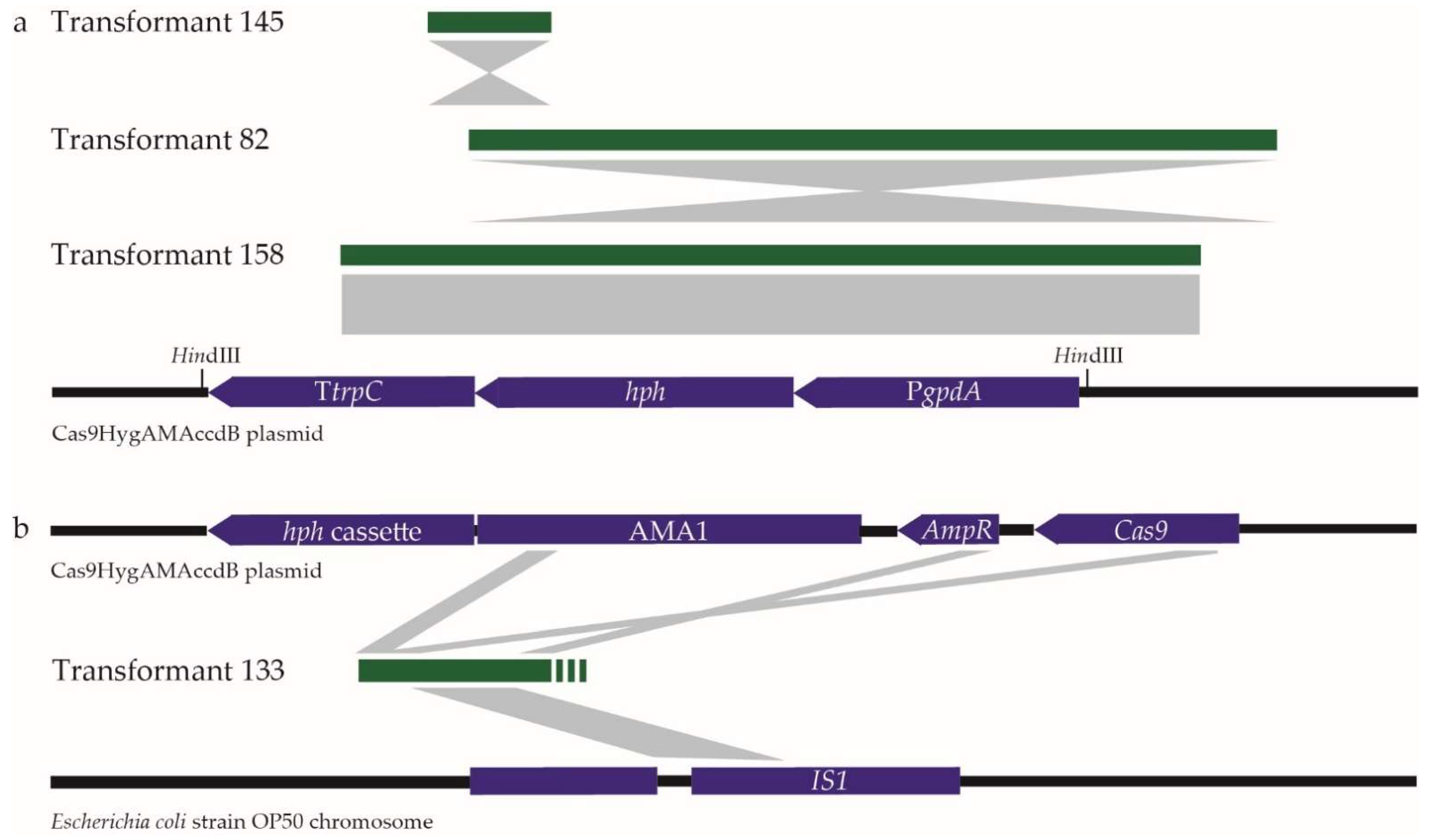 Plants 11 01016 g004