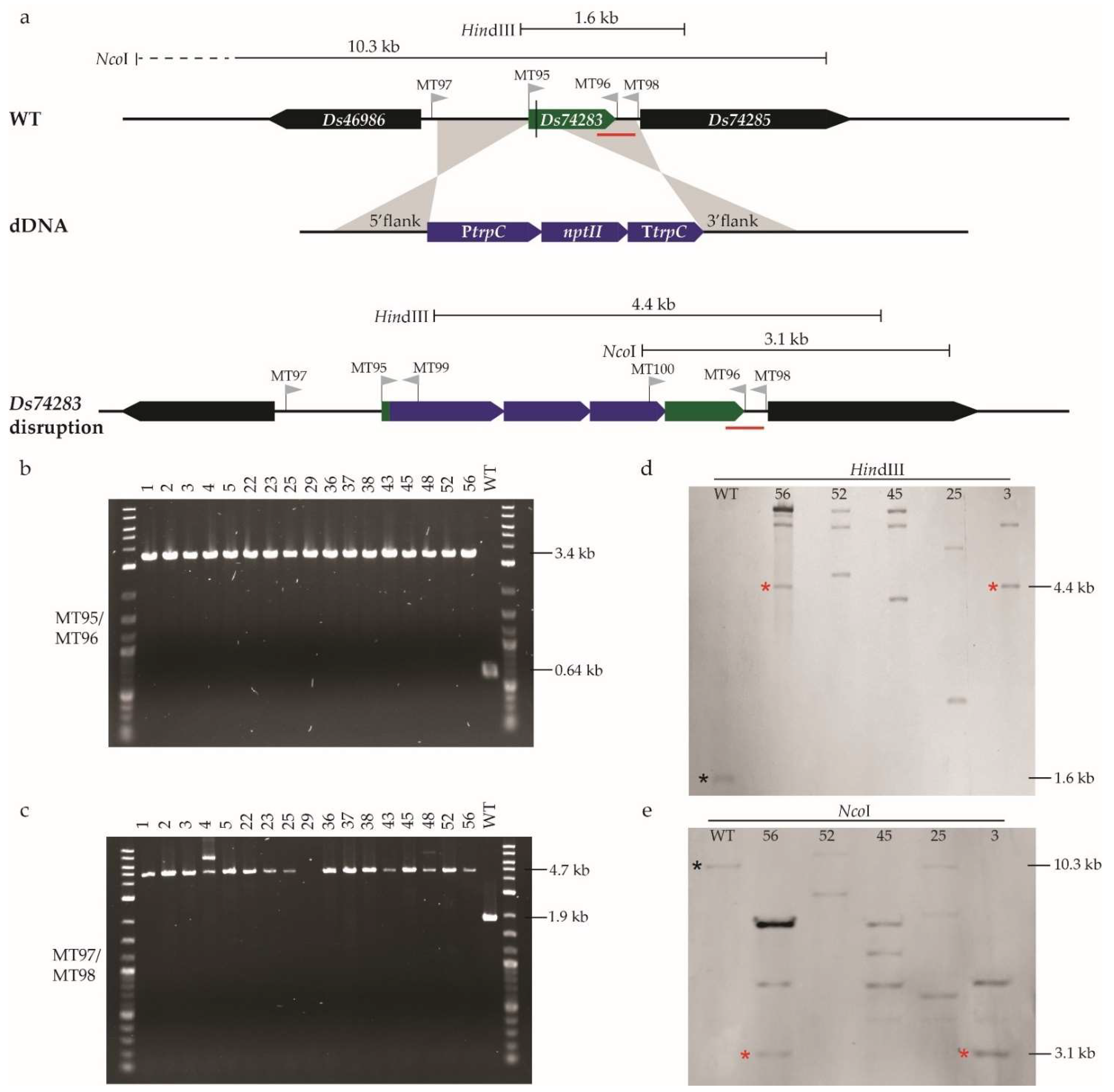 Plants 11 01016 g005