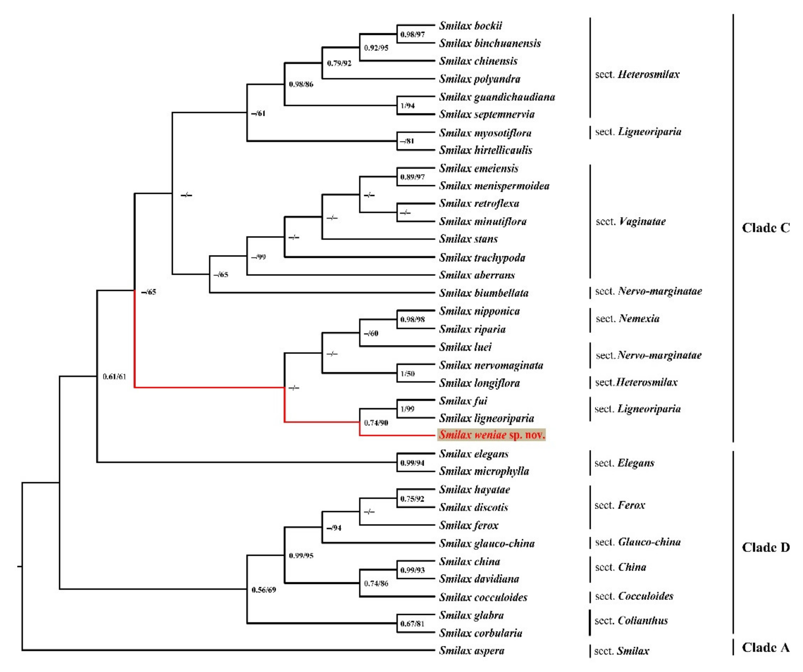 Plants 11 01032 g002