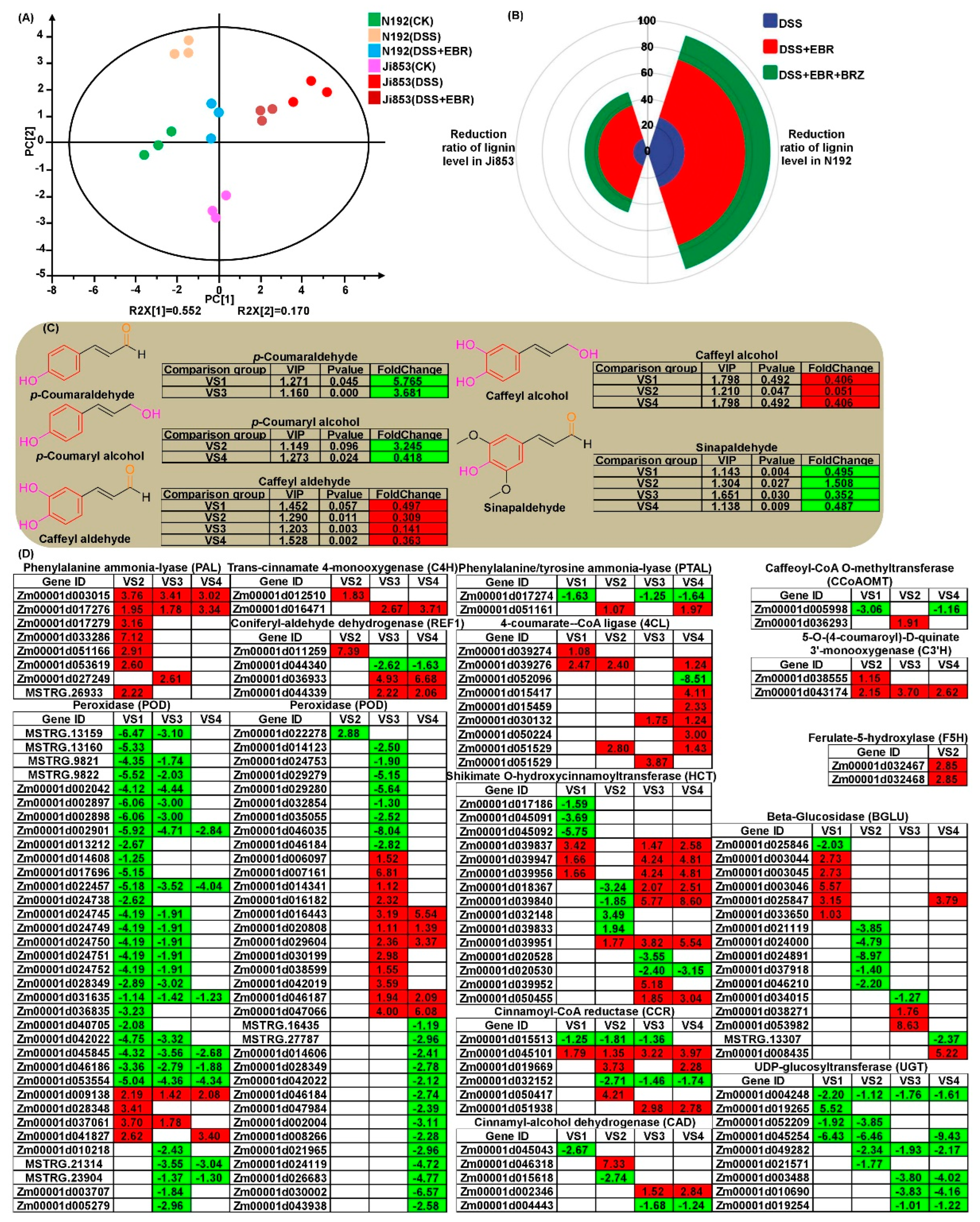 Plants 11 01034 g002