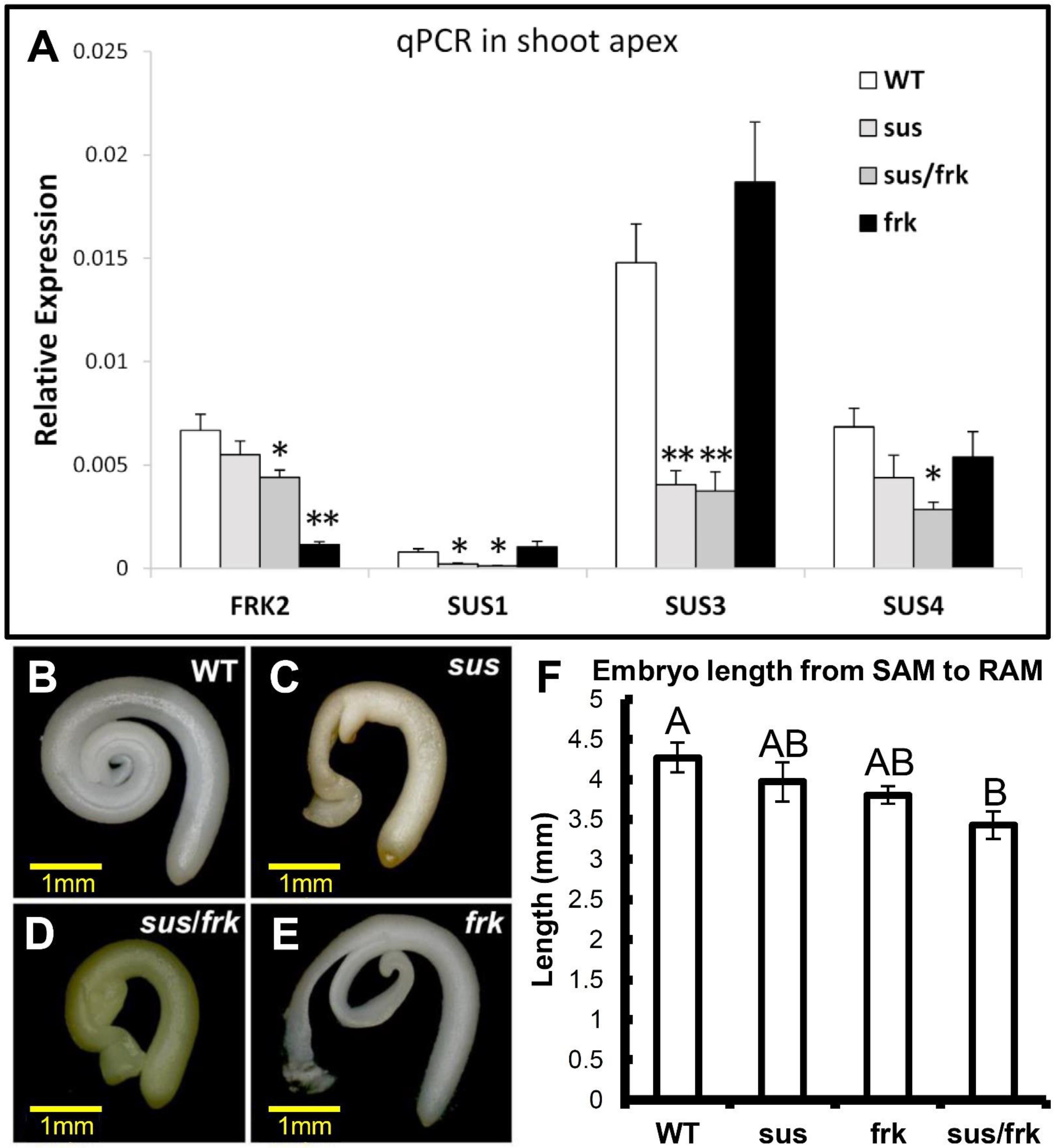 Plants 11 01035 g003