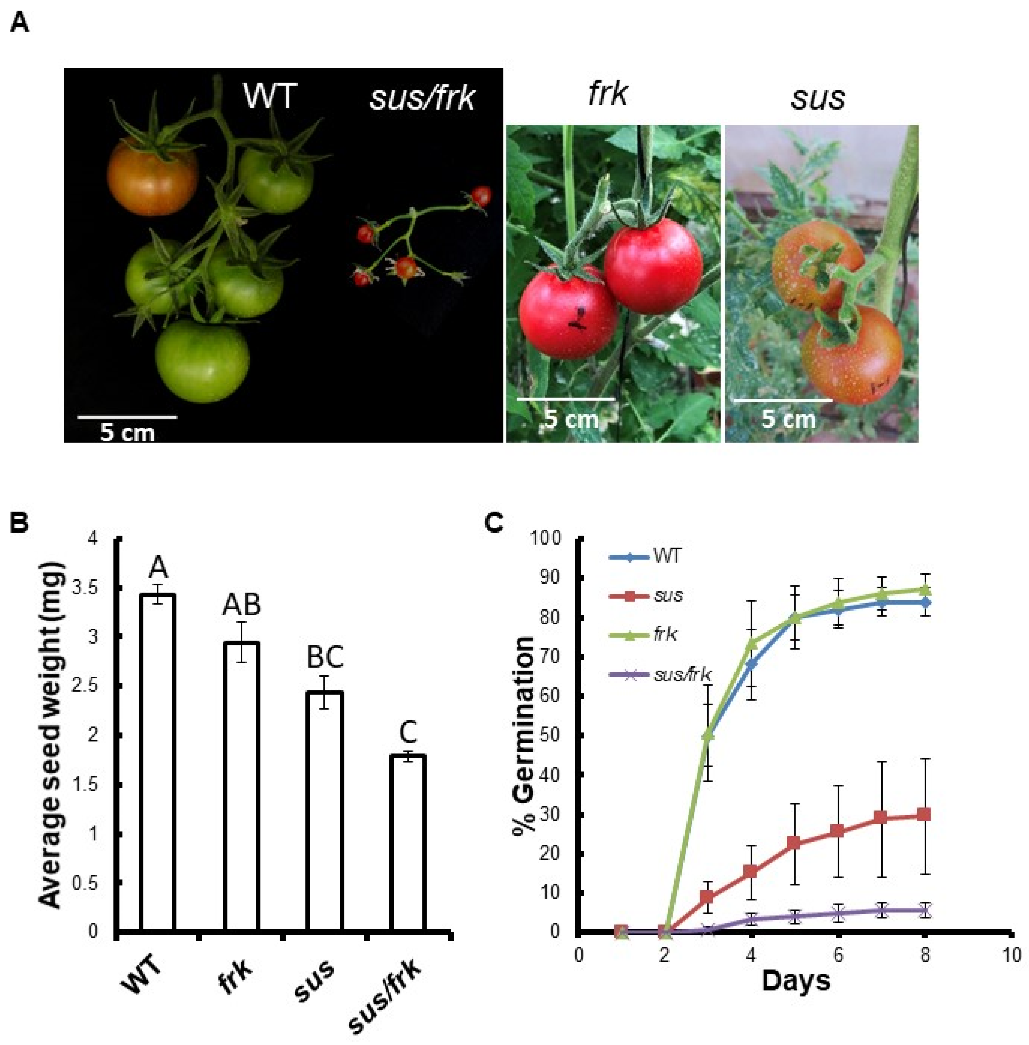 Plants 11 01035 g004